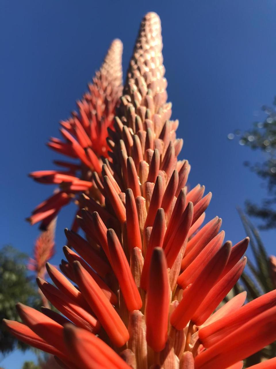 Cantinho do Paraíso