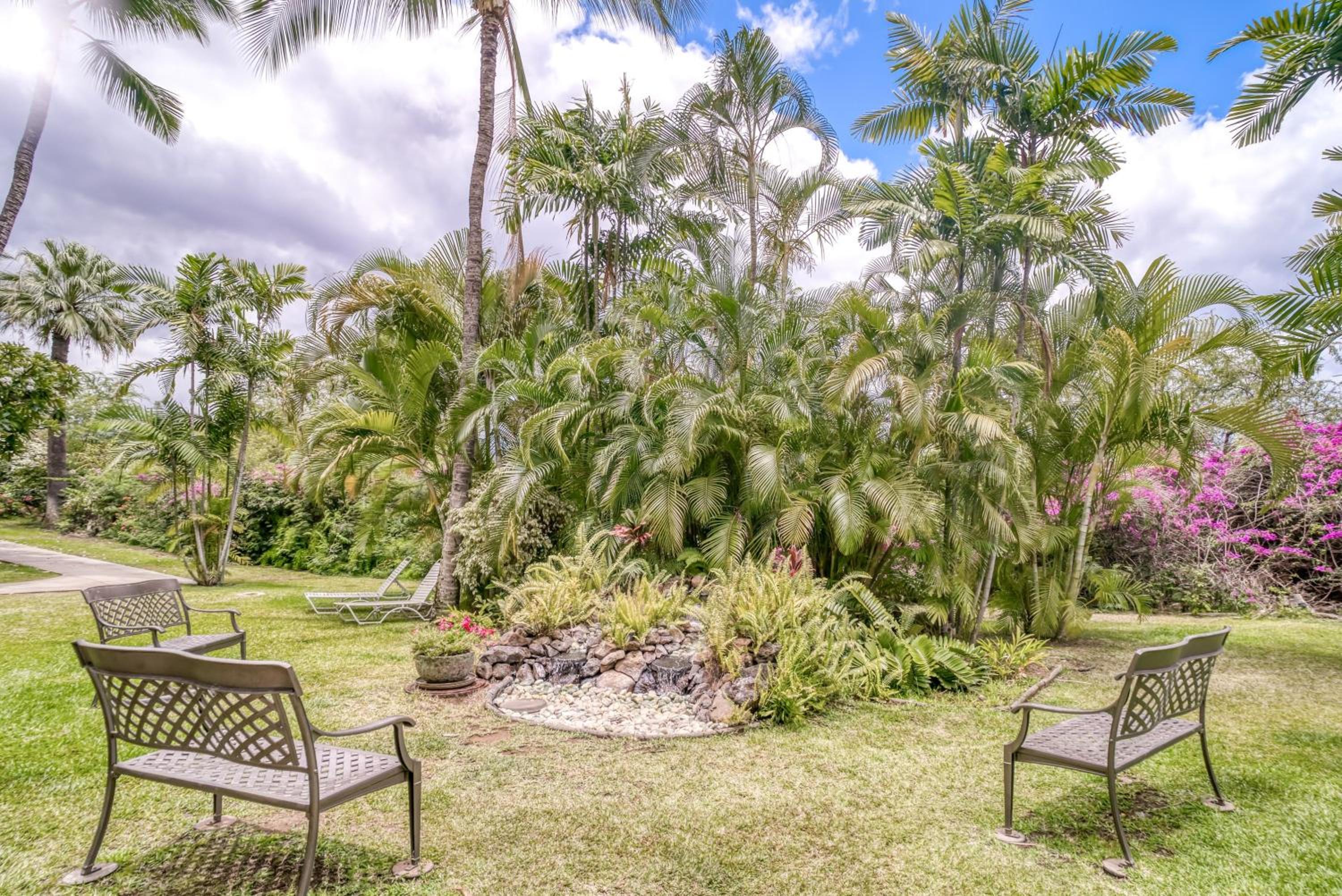 Maui Banyan H506 condo view 3