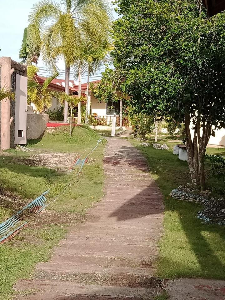Photo 46