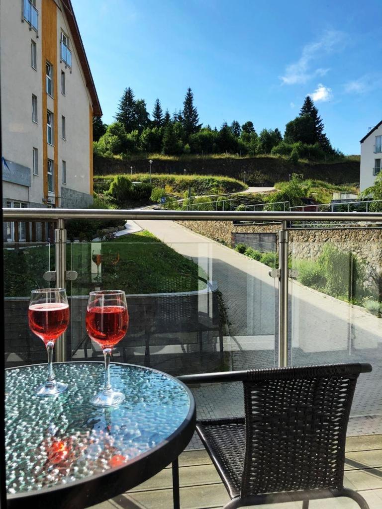 Atrakcyjny Apartament Czarna Góra view 3