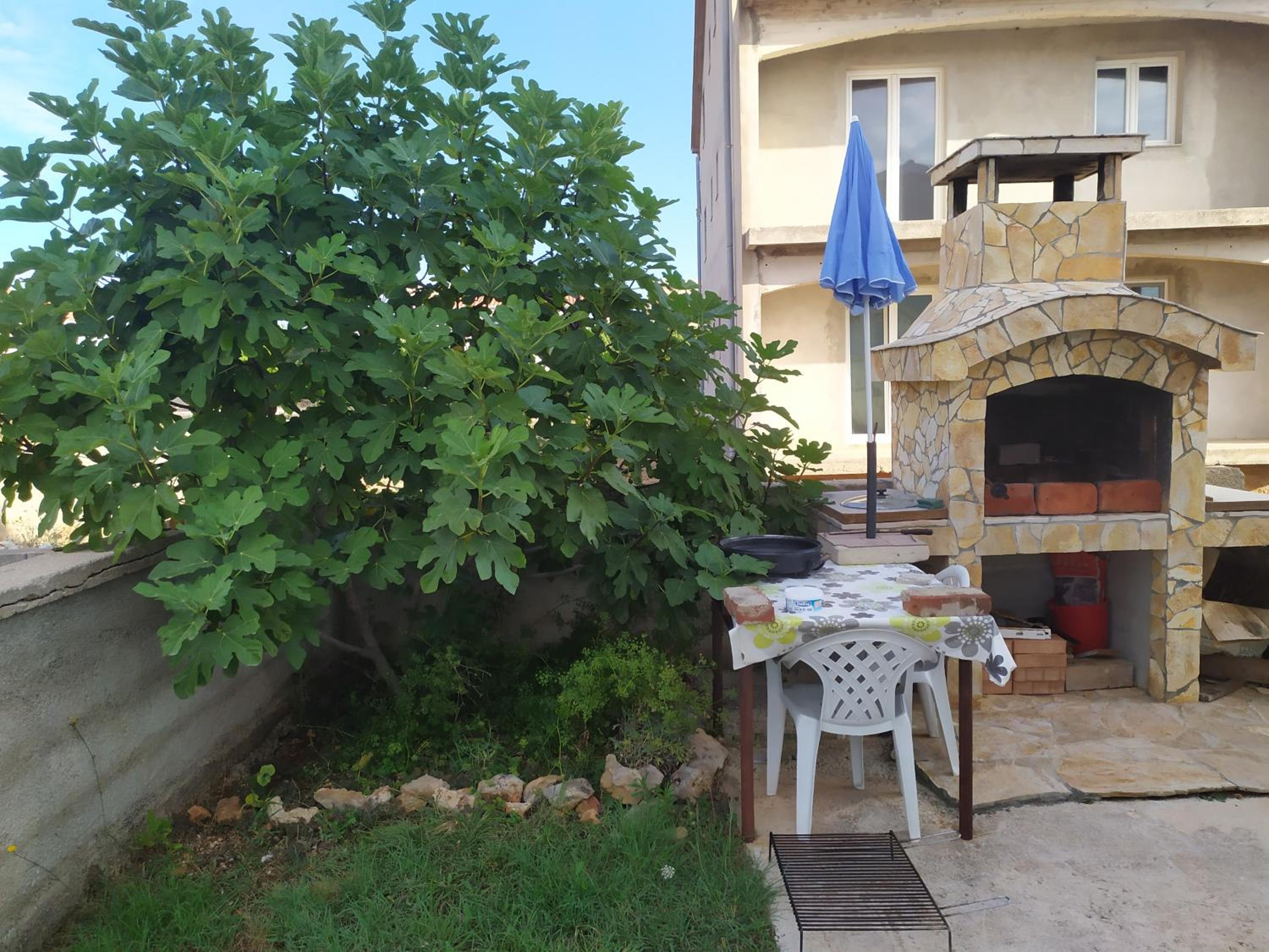 Photo 38