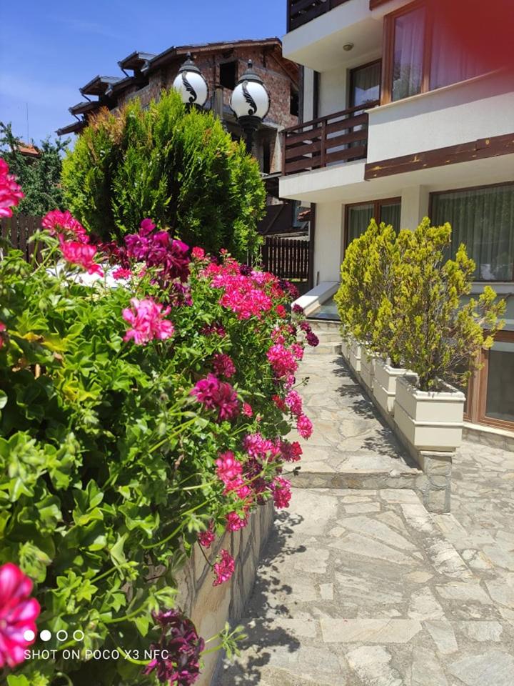 Guest House Ela
