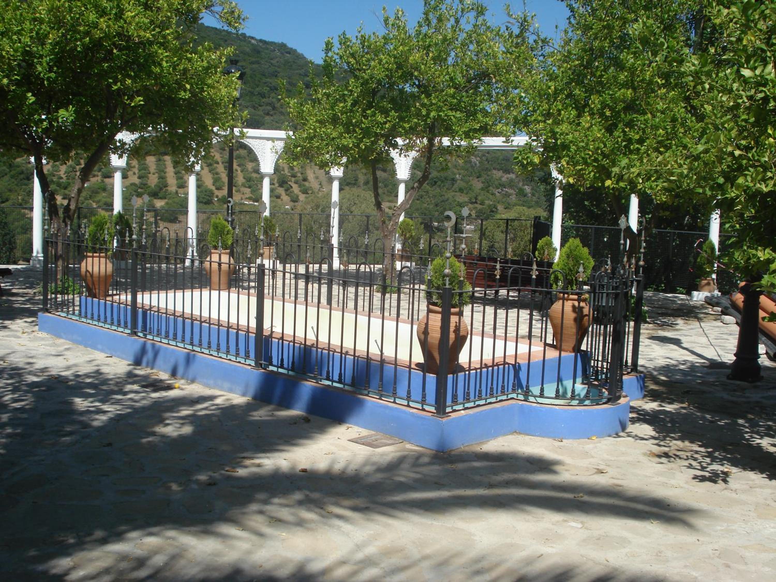 Photo 25