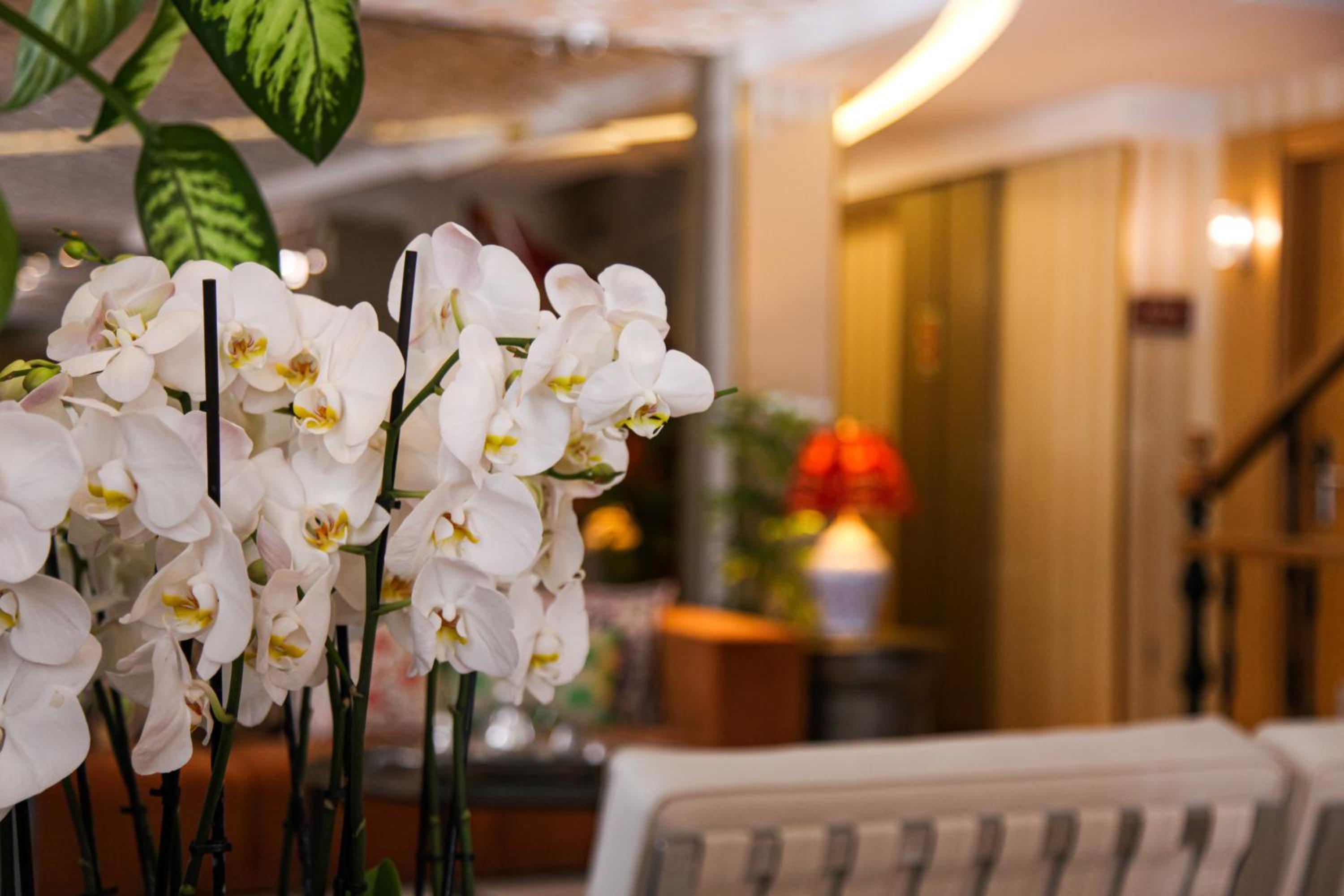 Almina Guest House