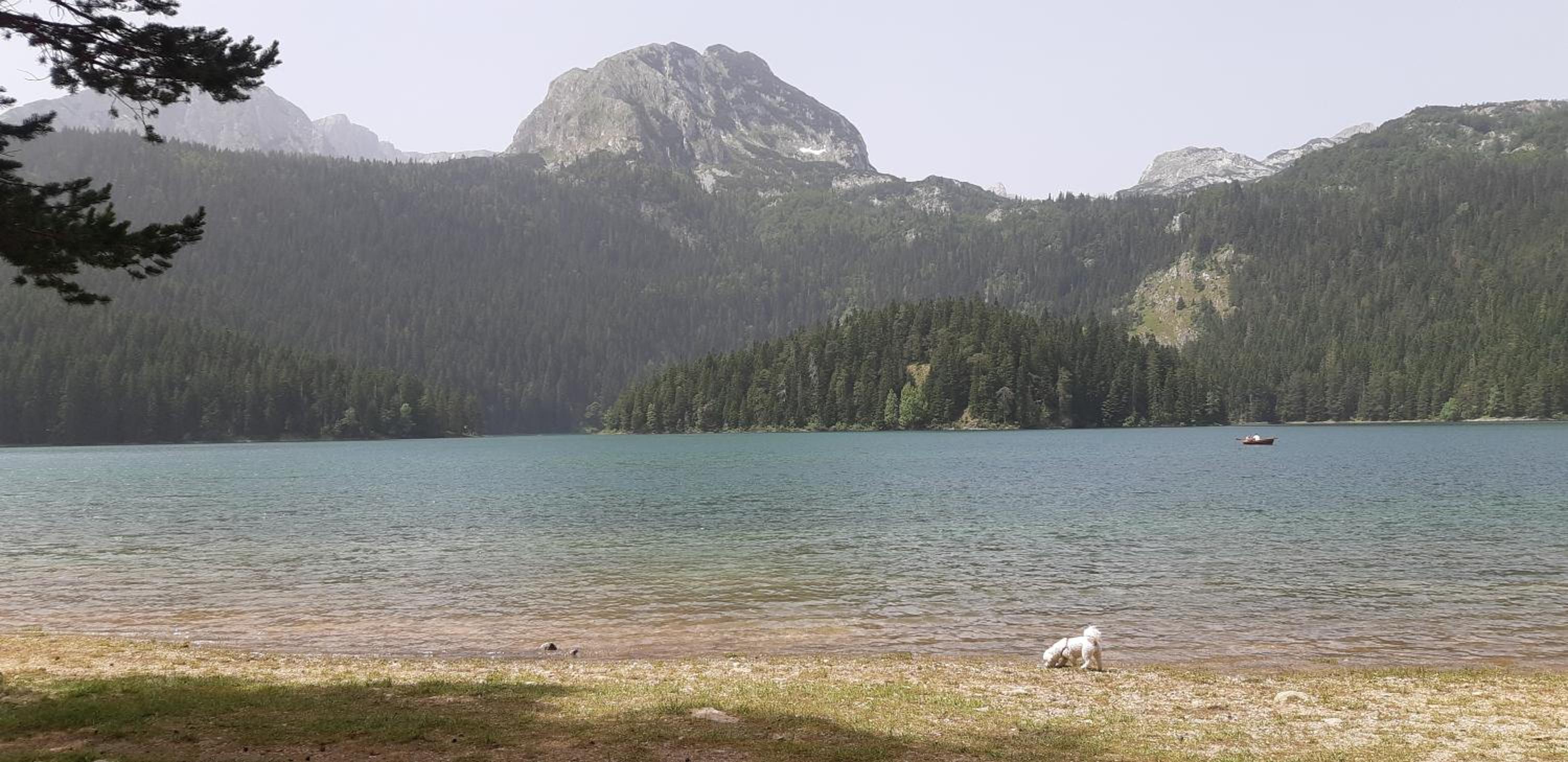 Photo 14