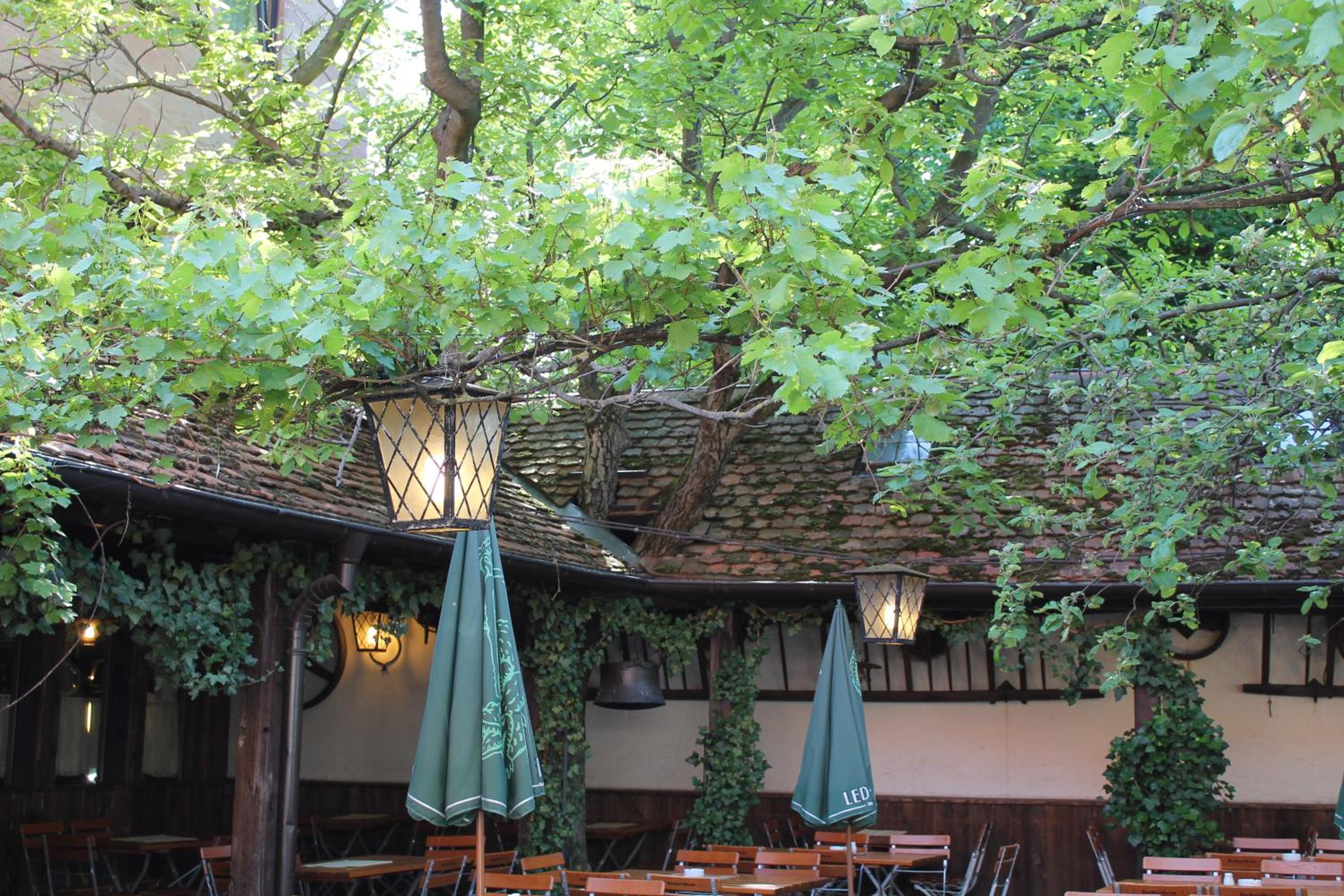 Hotel Petzengarten