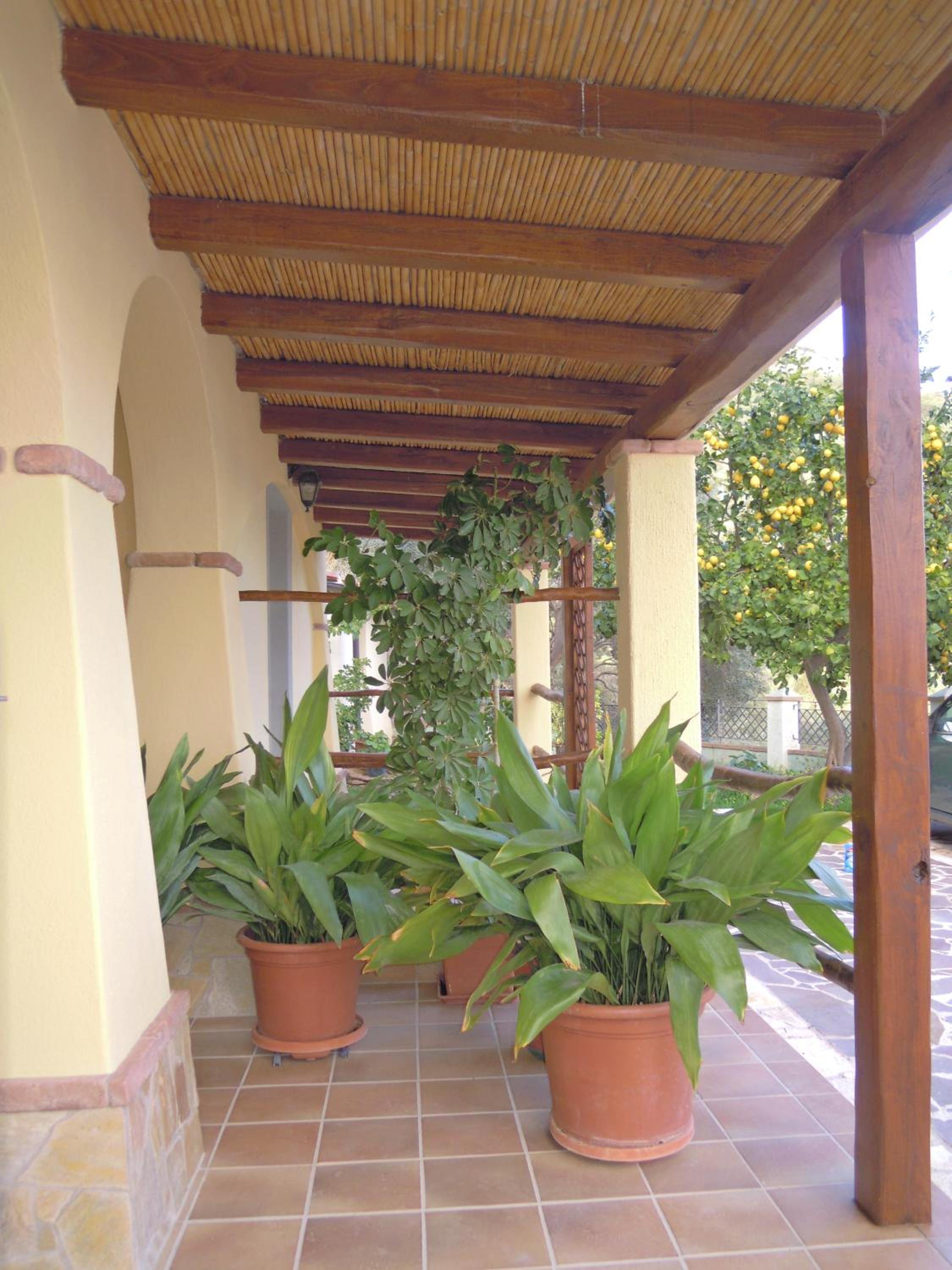 Photo 29