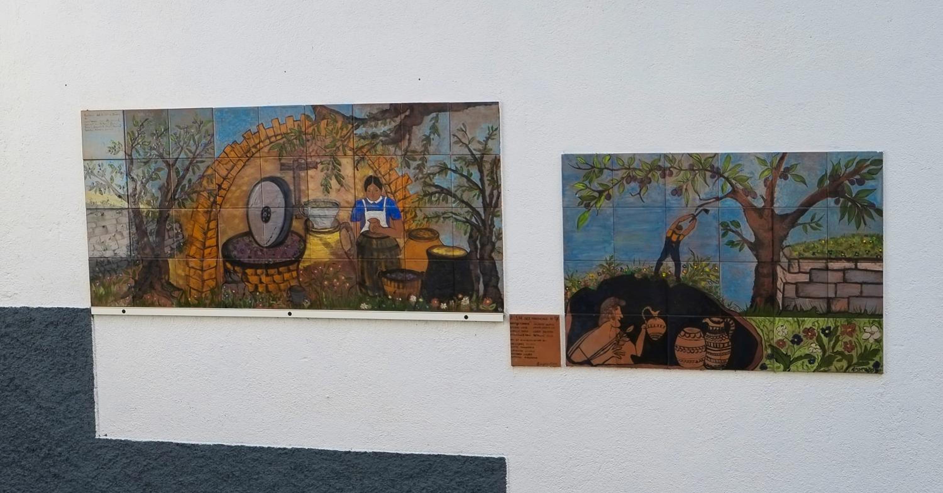 Photo 43