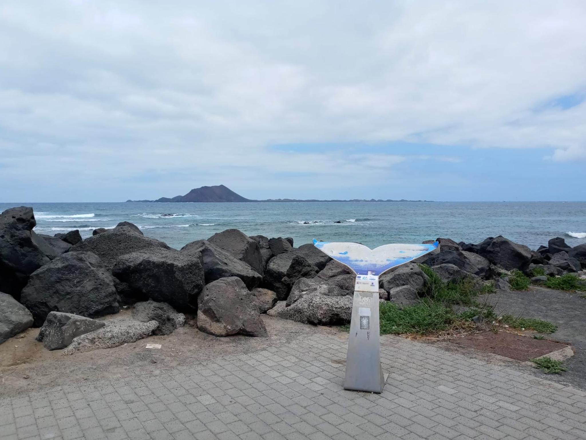 La flor del Atlantico