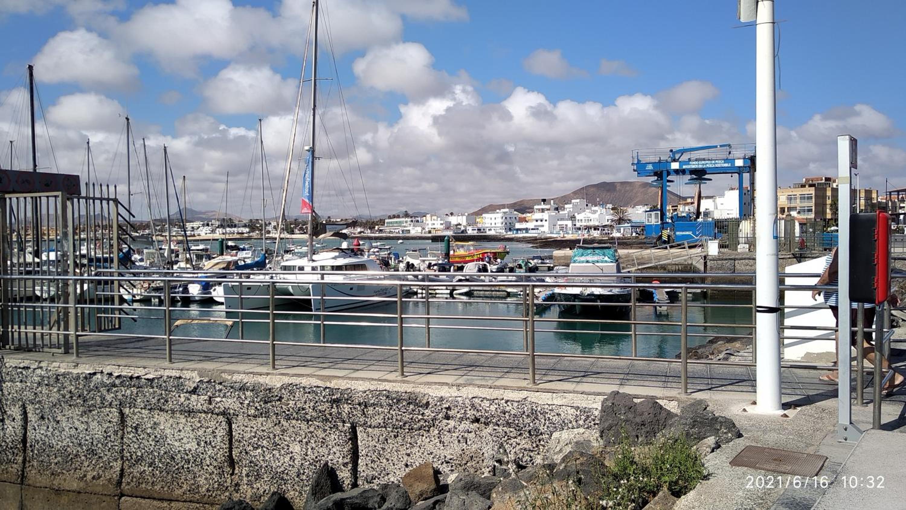 La flor del Atlantico