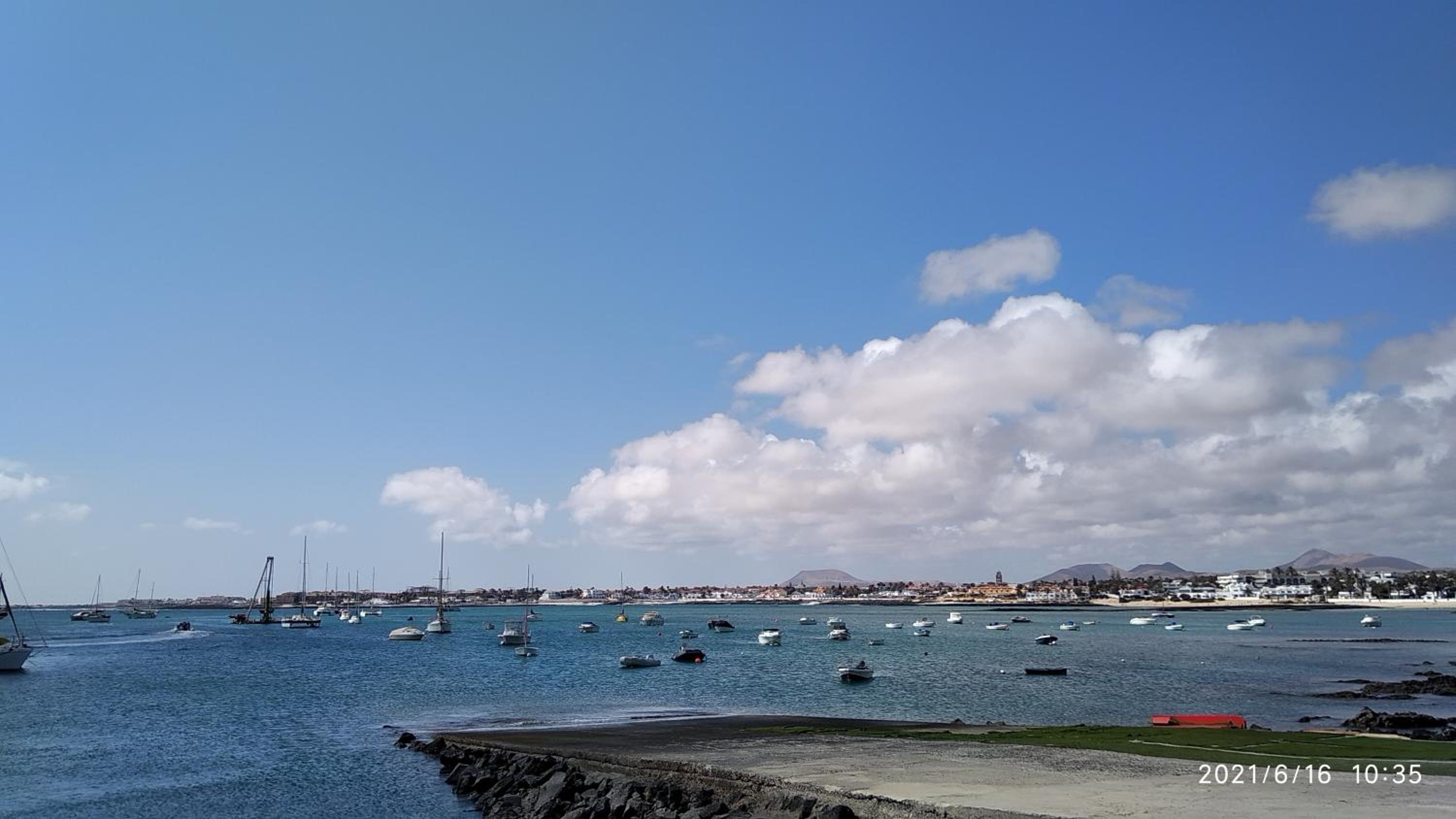 La flor del Atlantico