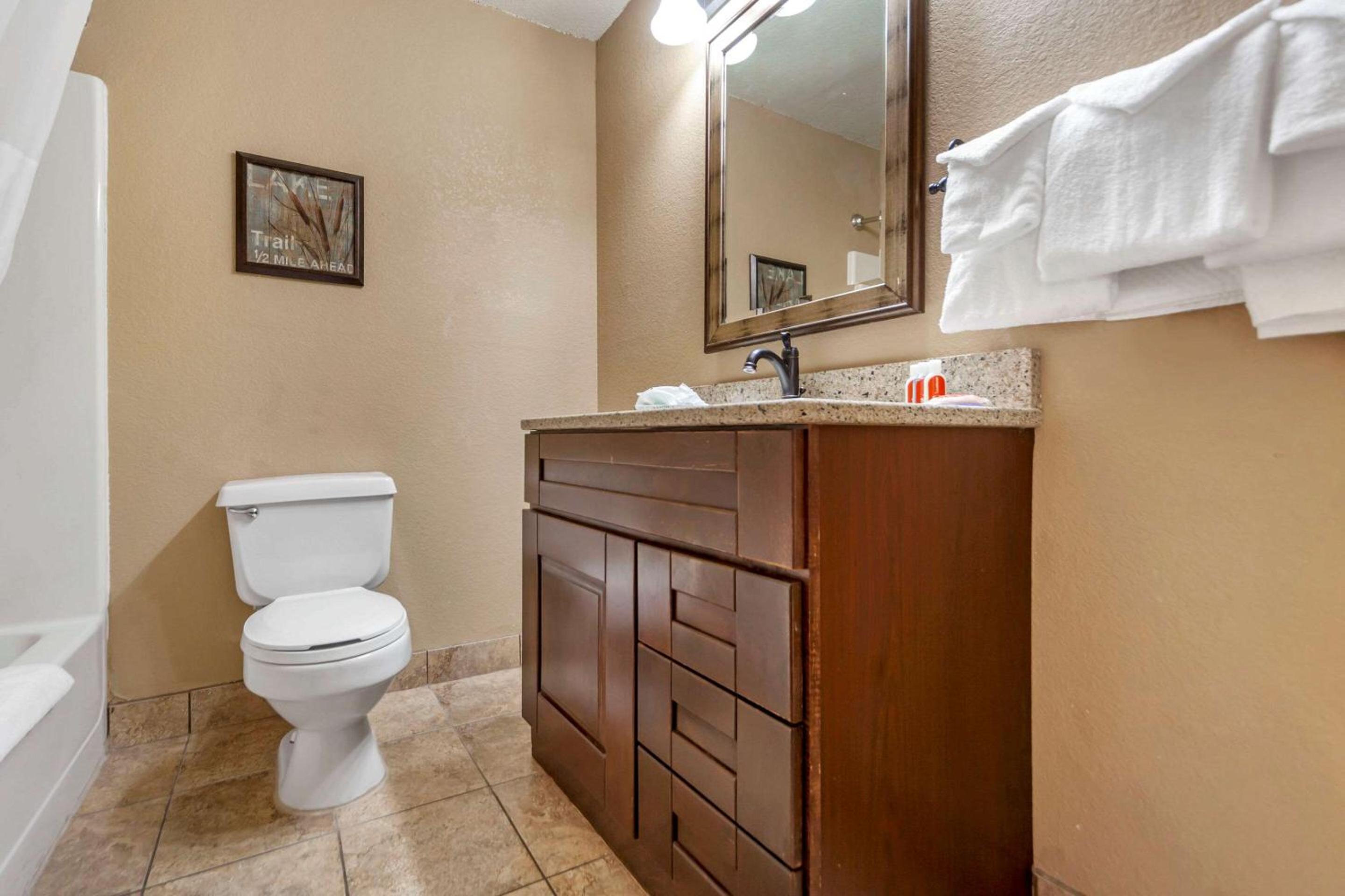 Econo Lodge Black Hills view 5