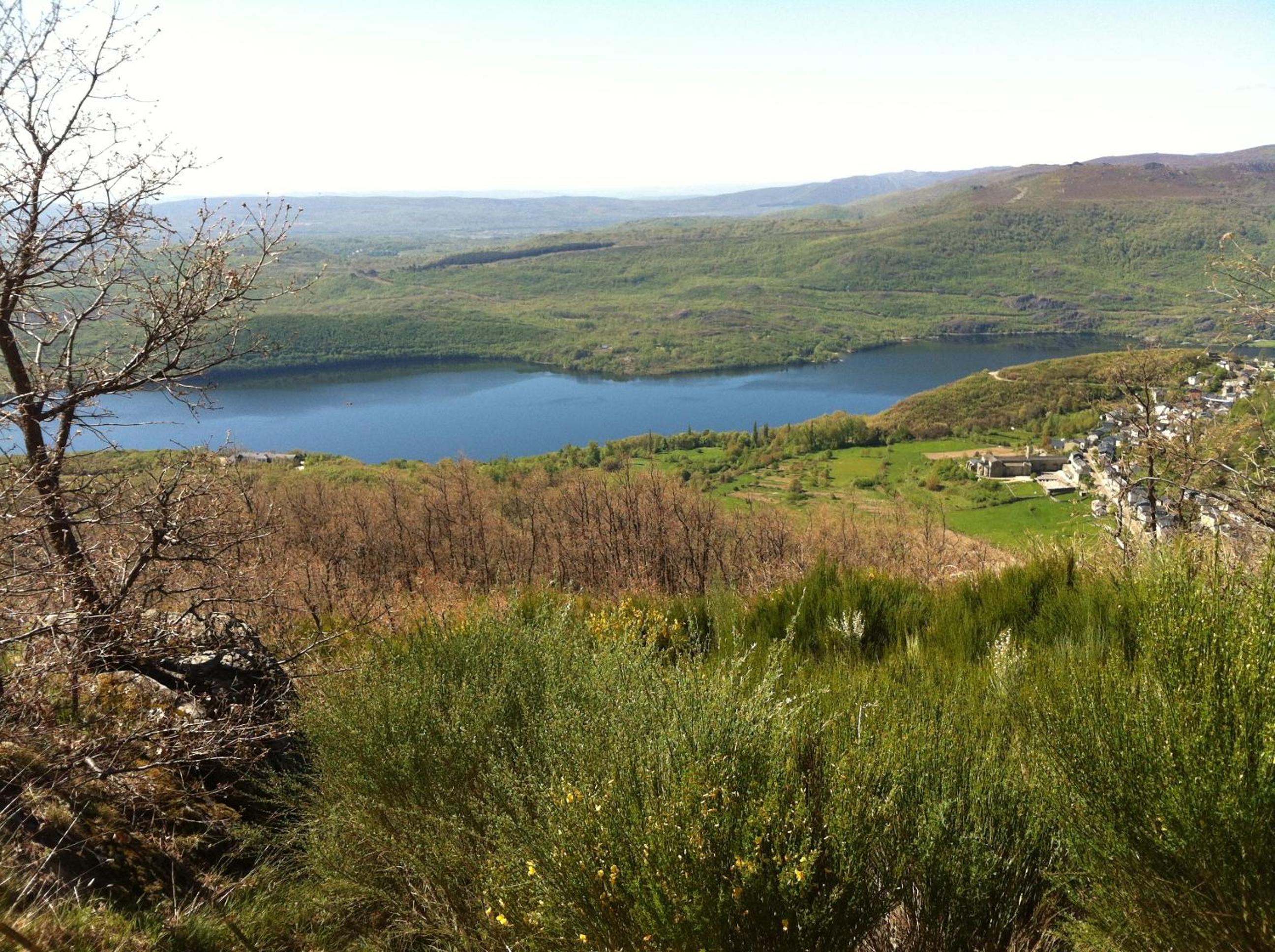 Photo 33
