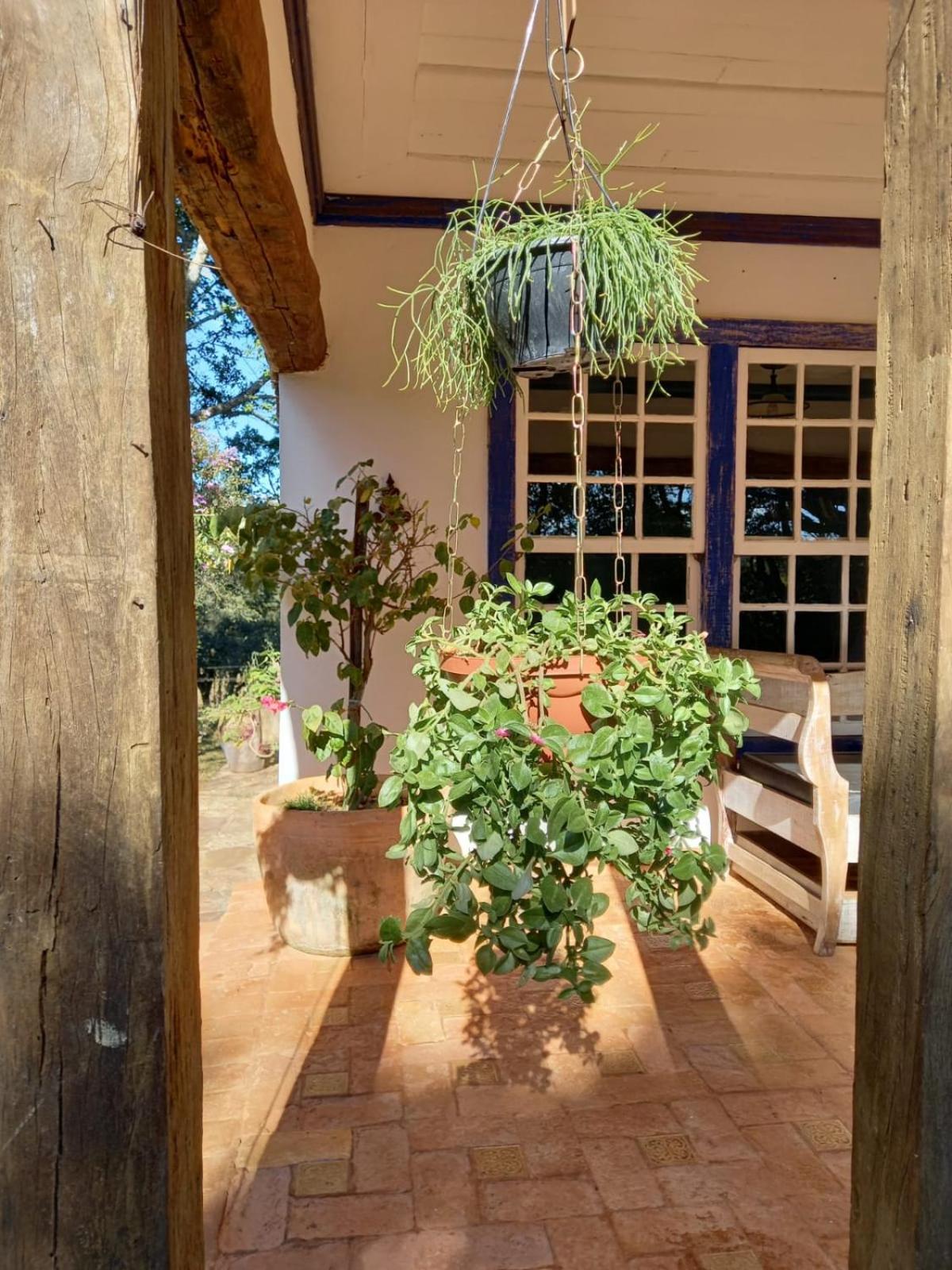 Casa Verde-Casa de Temporada no Bichinho