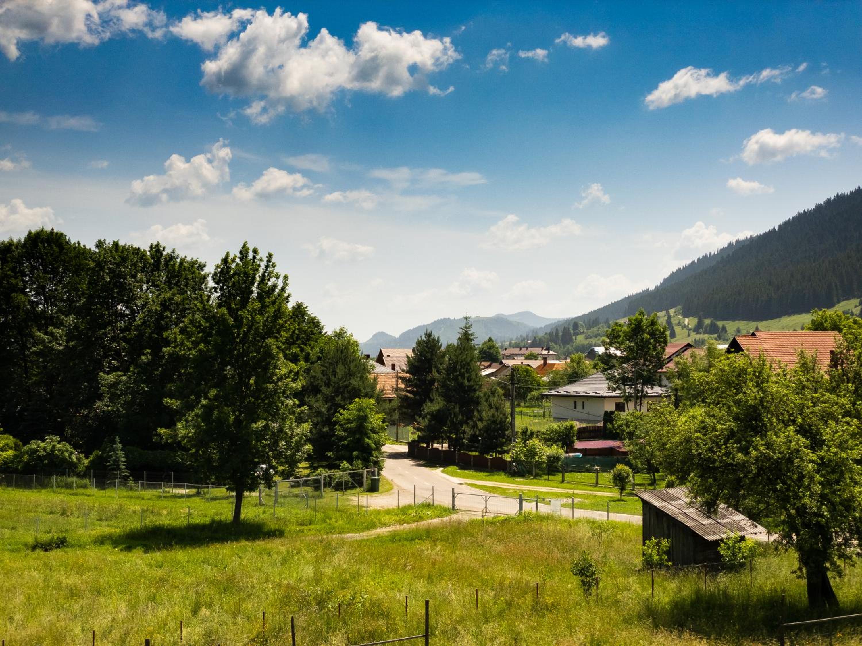 Pensiunea Magda view 2