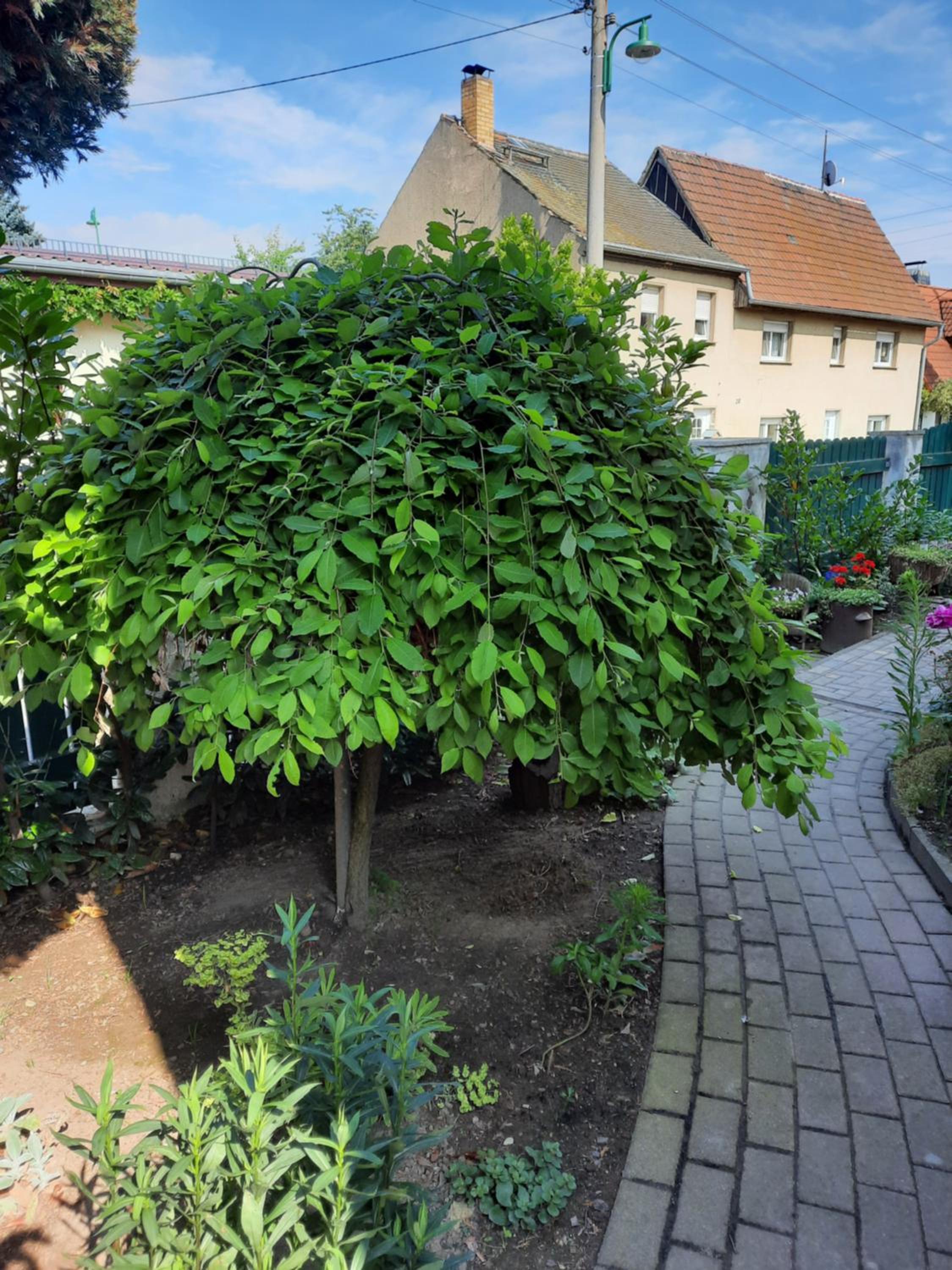 Photo 22