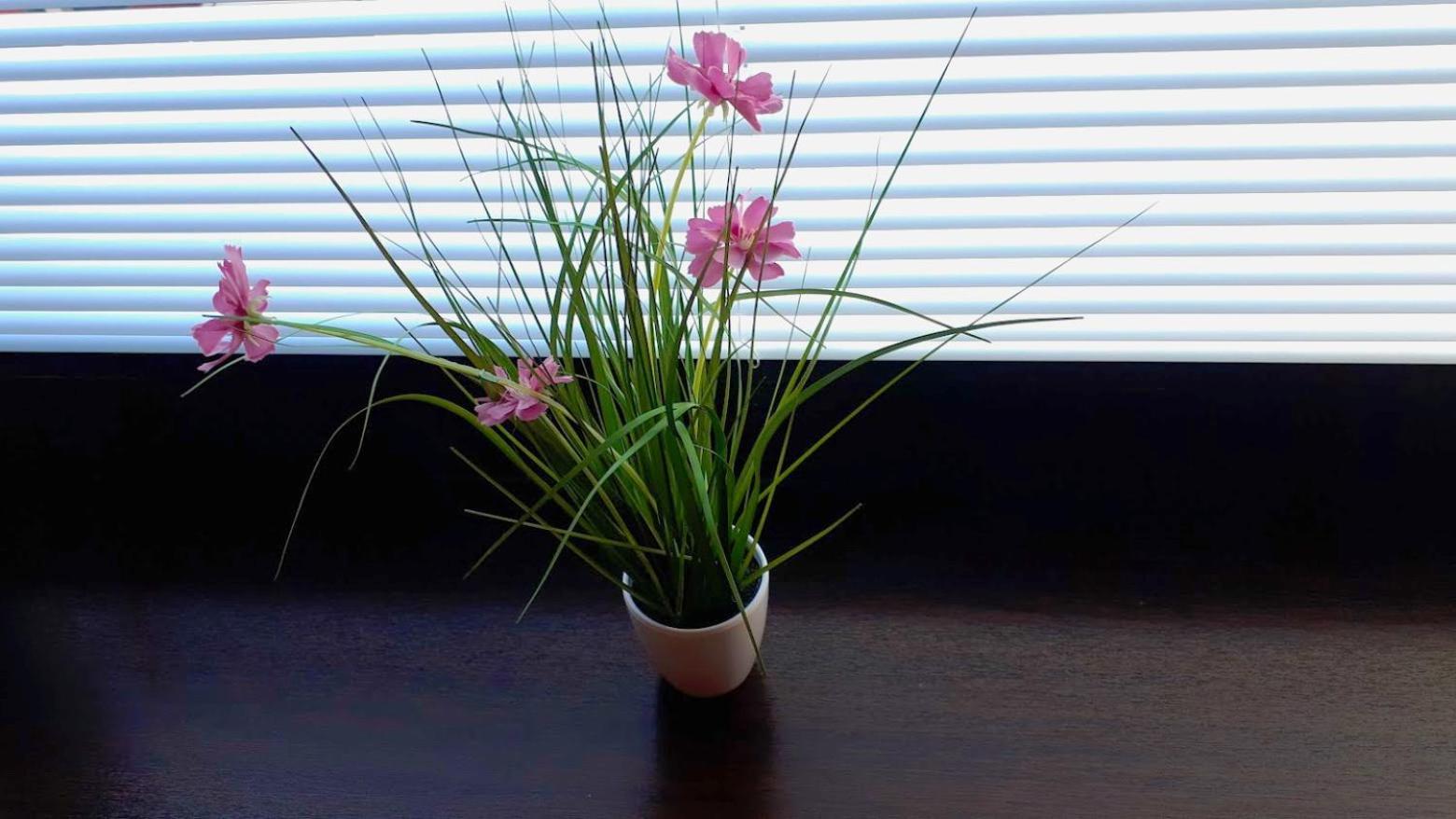 Photo 48