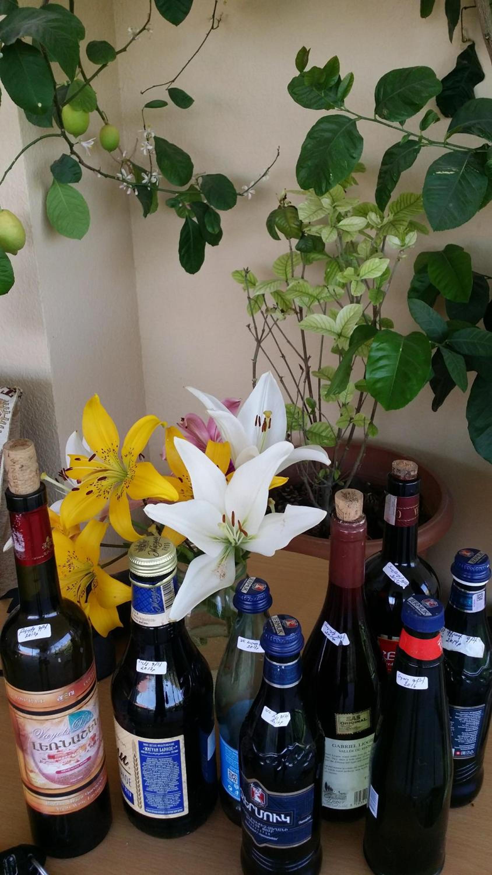 Verishen Guest House B&B