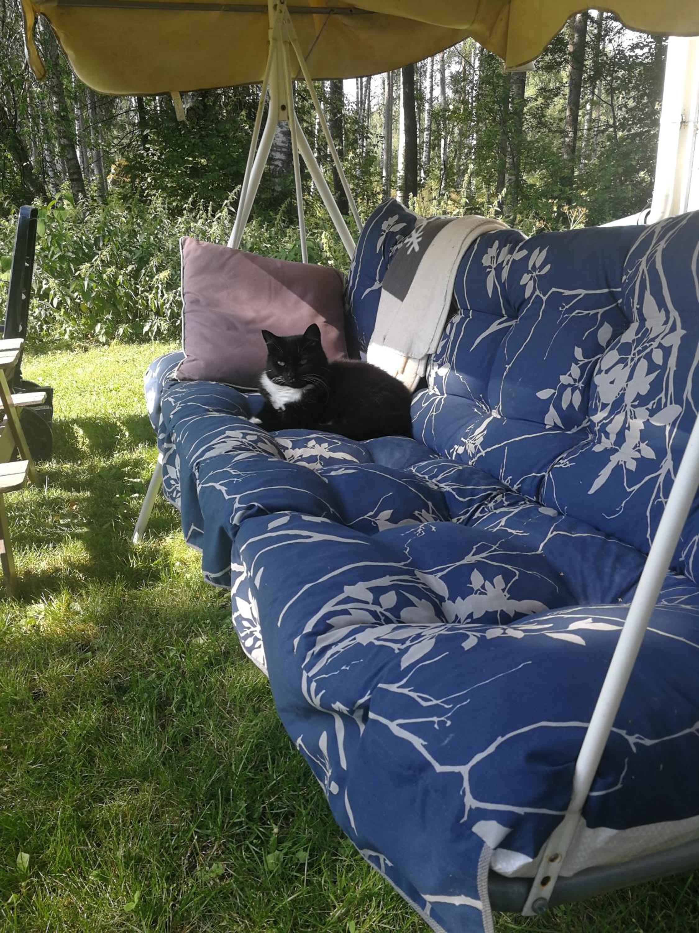 Photo 43