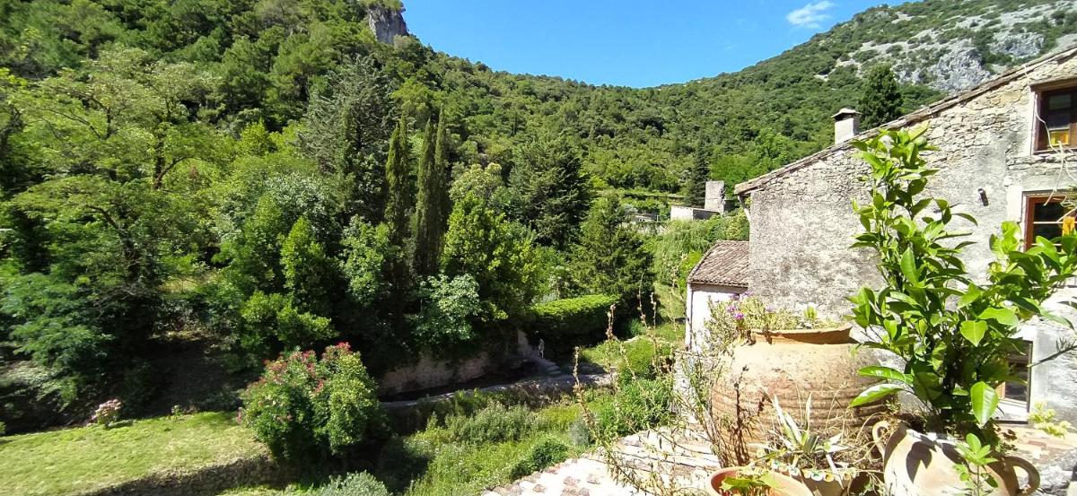 Au bord du verdus