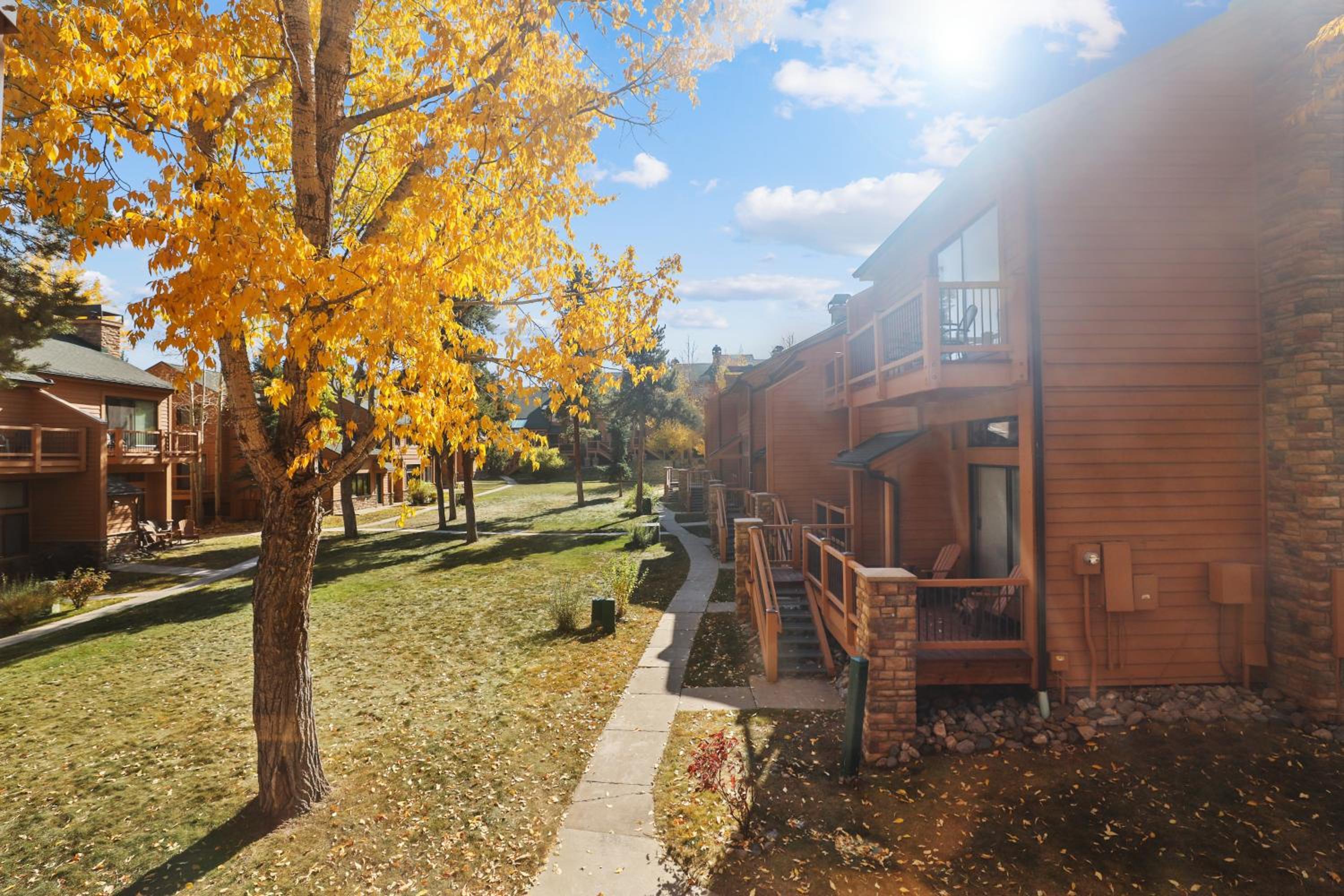 Multi-level Cedars 2 Townhome