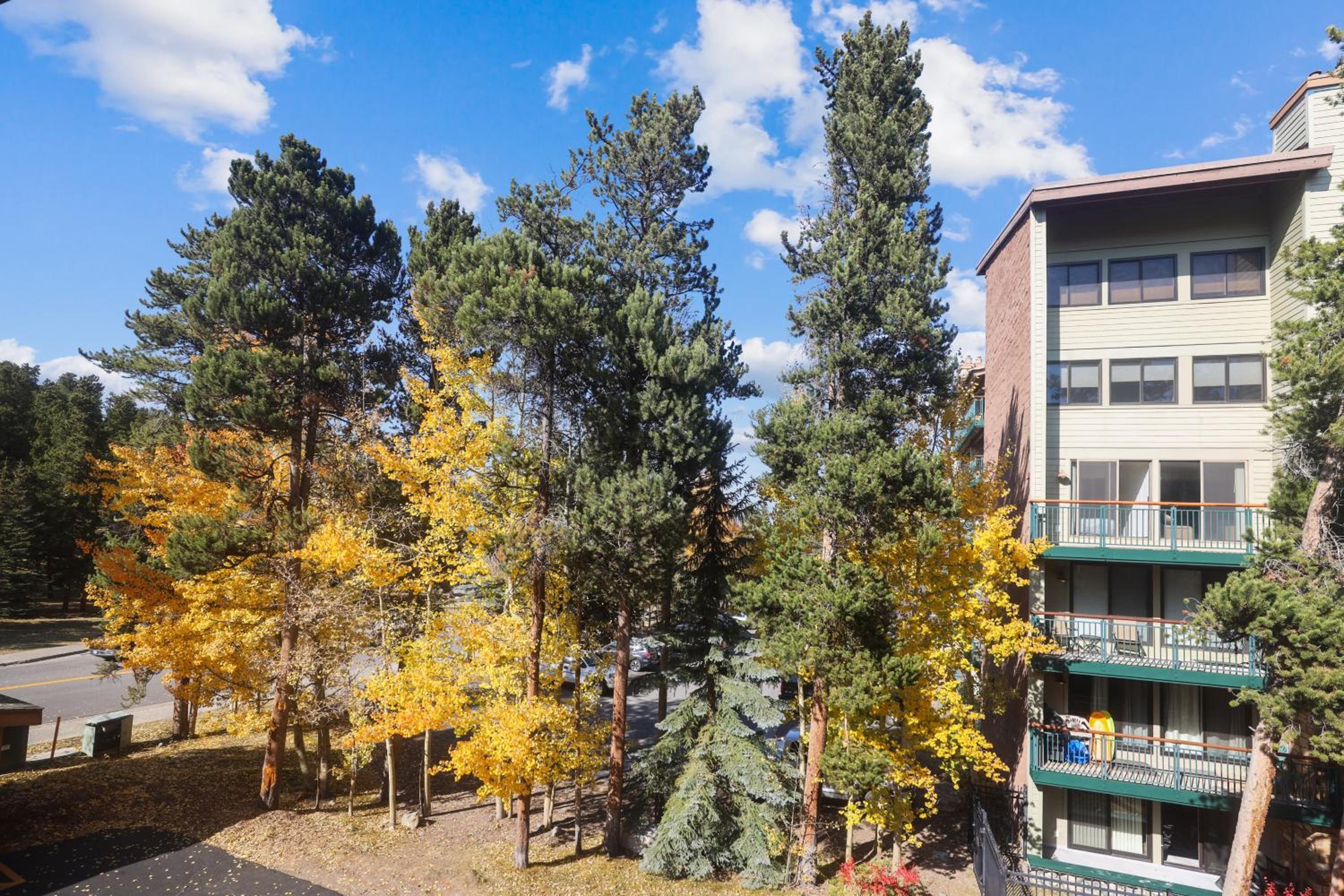 Multi-level Cedars 2 Townhome