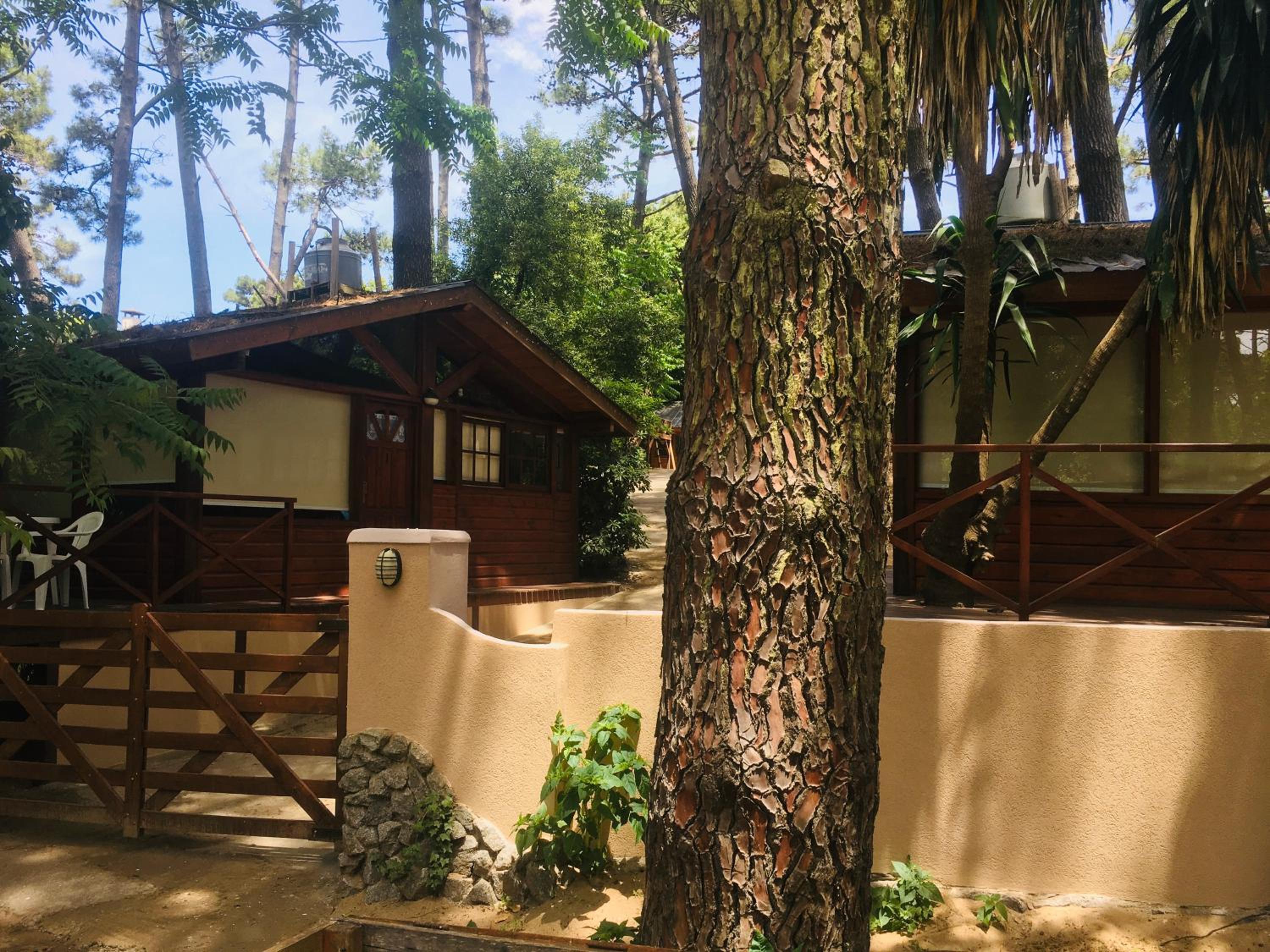 Cabañas Entre Pinos