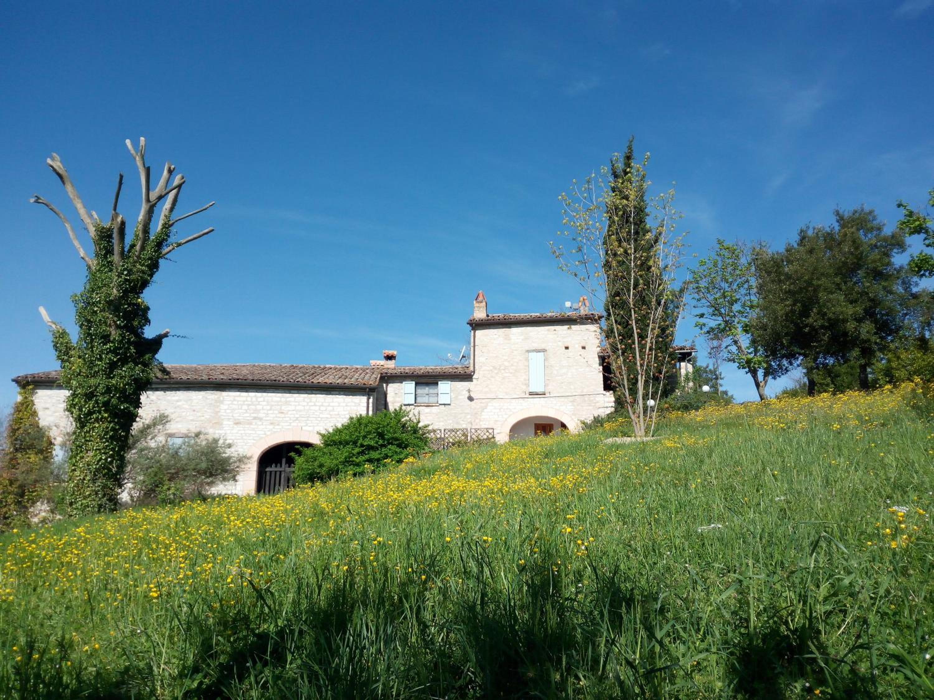 Agriturismo del Frontino - Lo Studio view 5