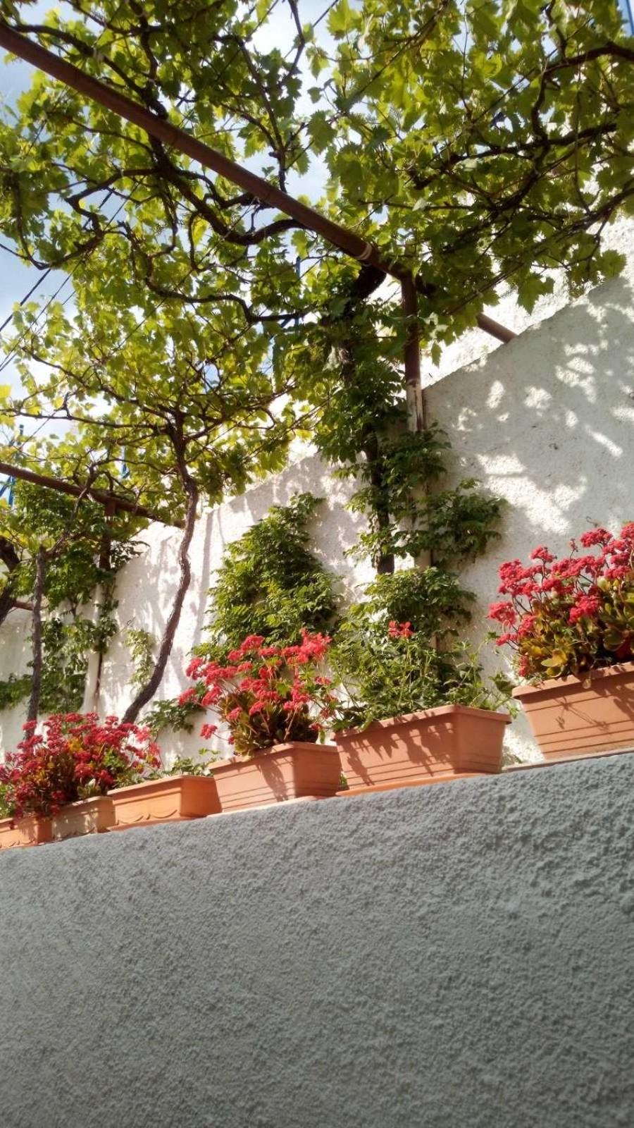 Milojka view 3