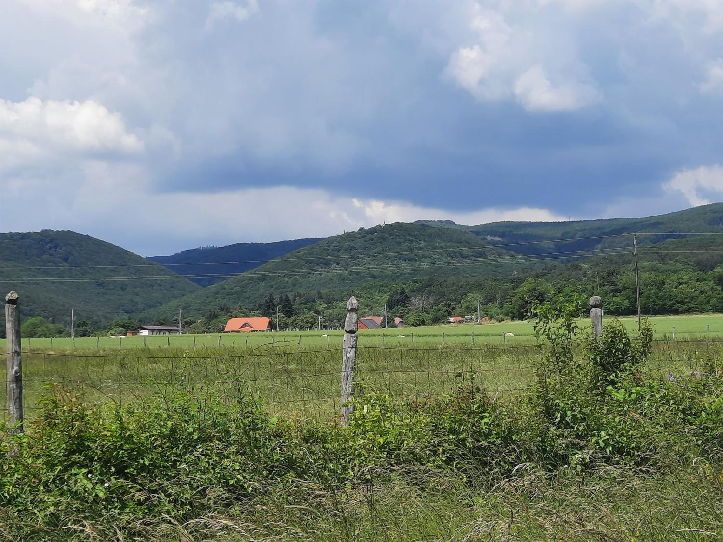 Photo 44