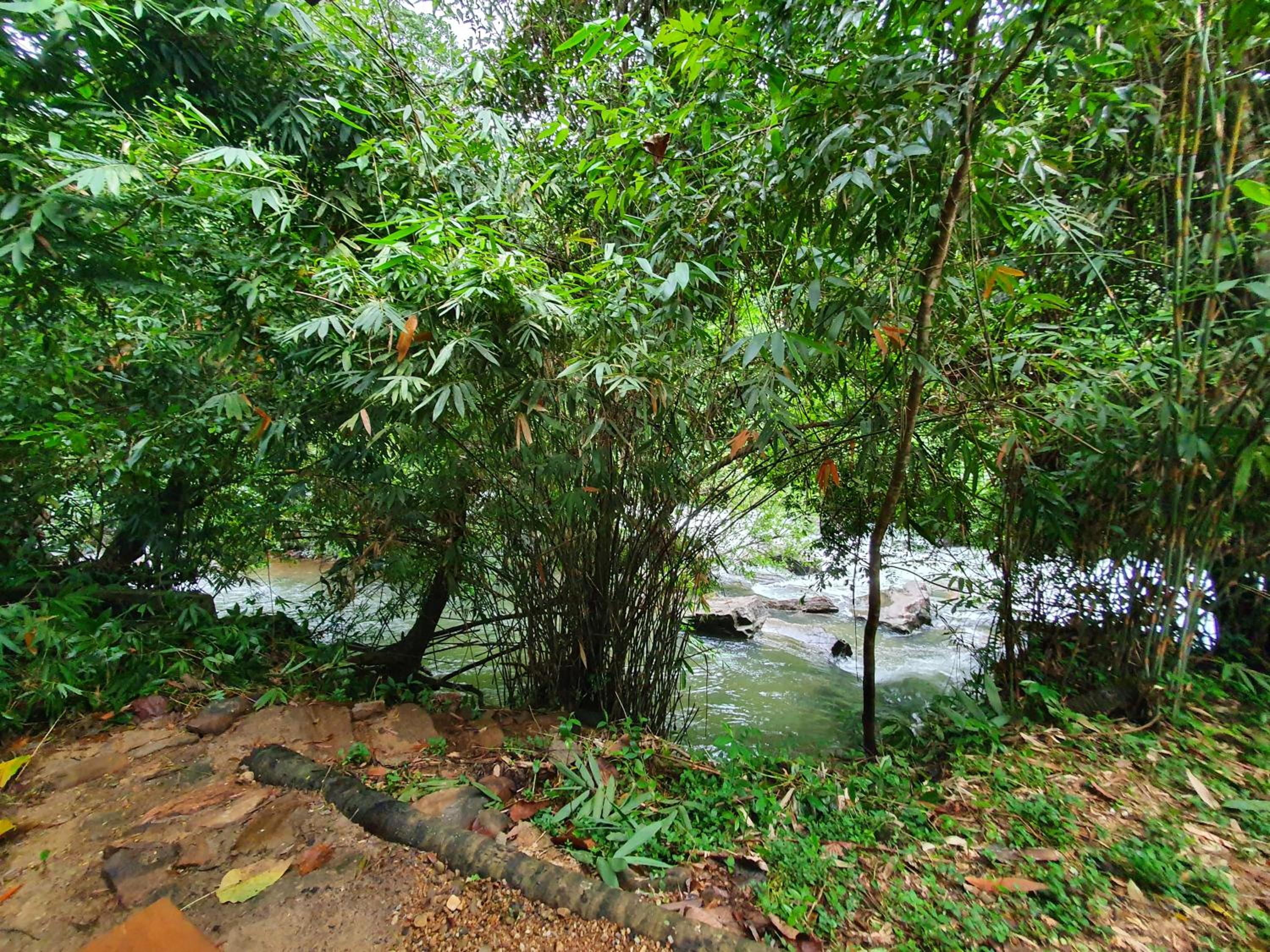 Photo 42