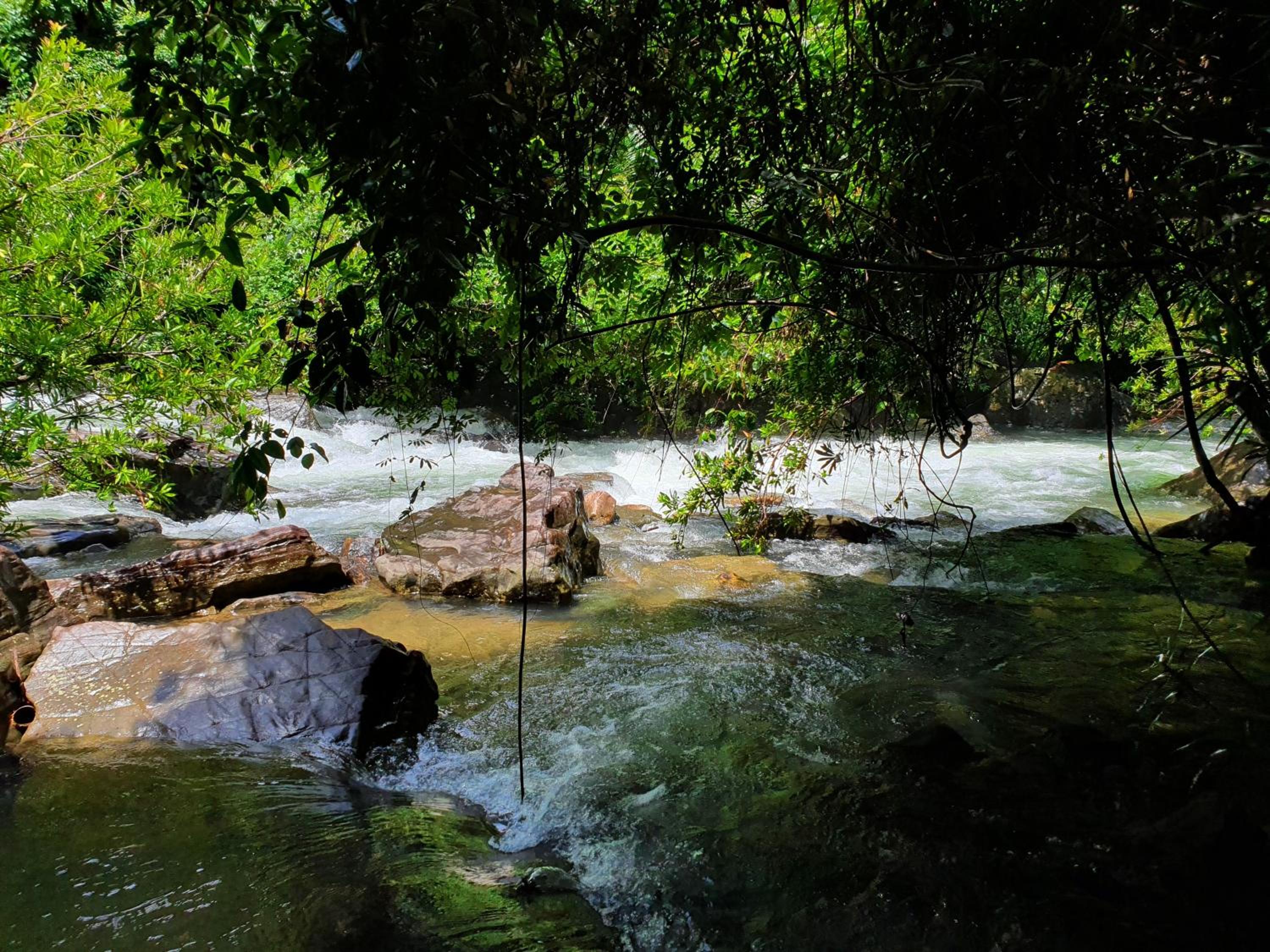 Photo 46