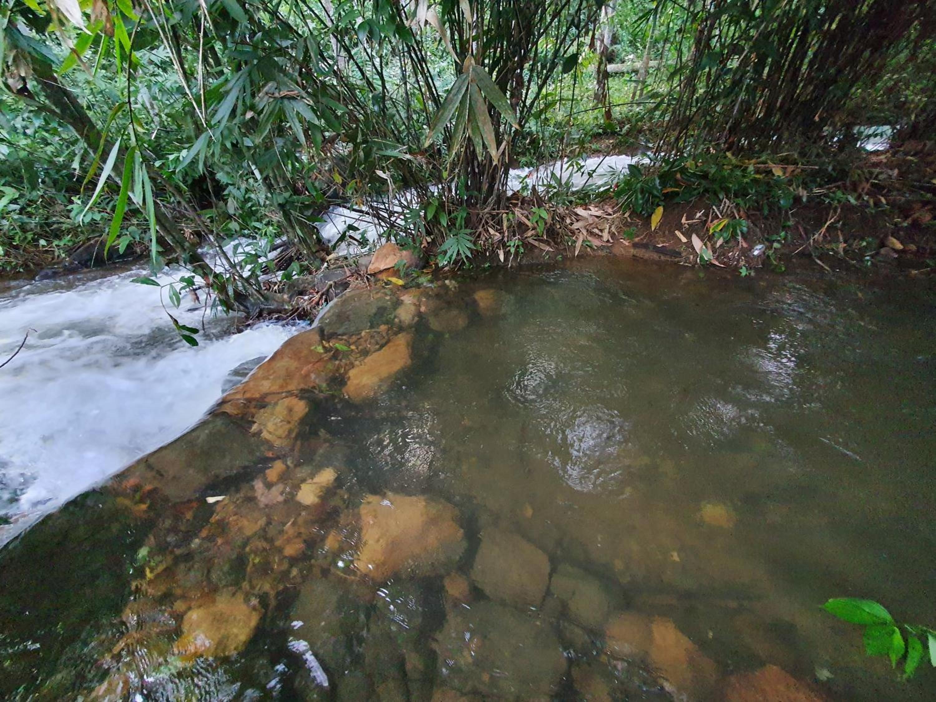 Photo 48