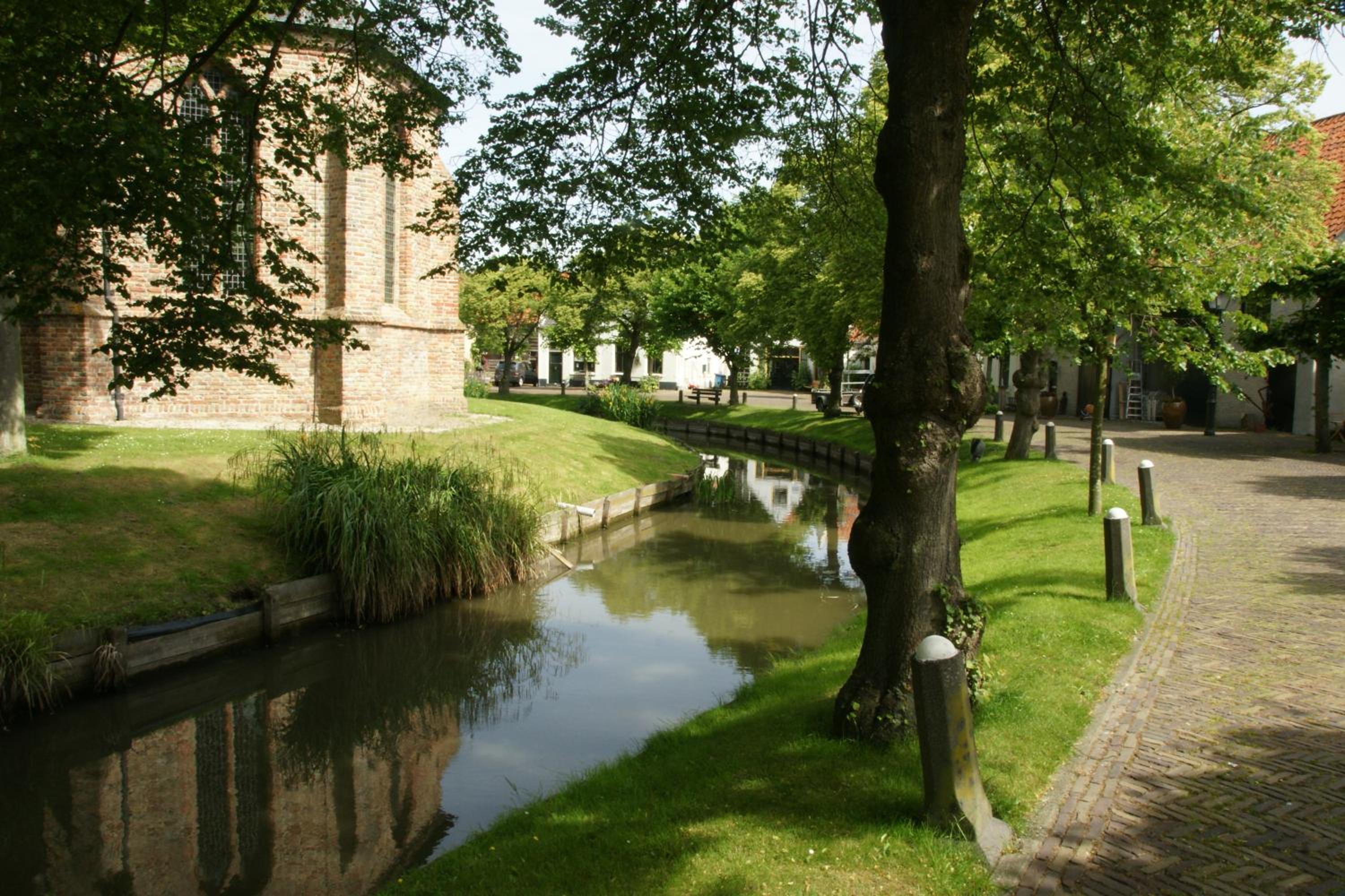 Photo 15