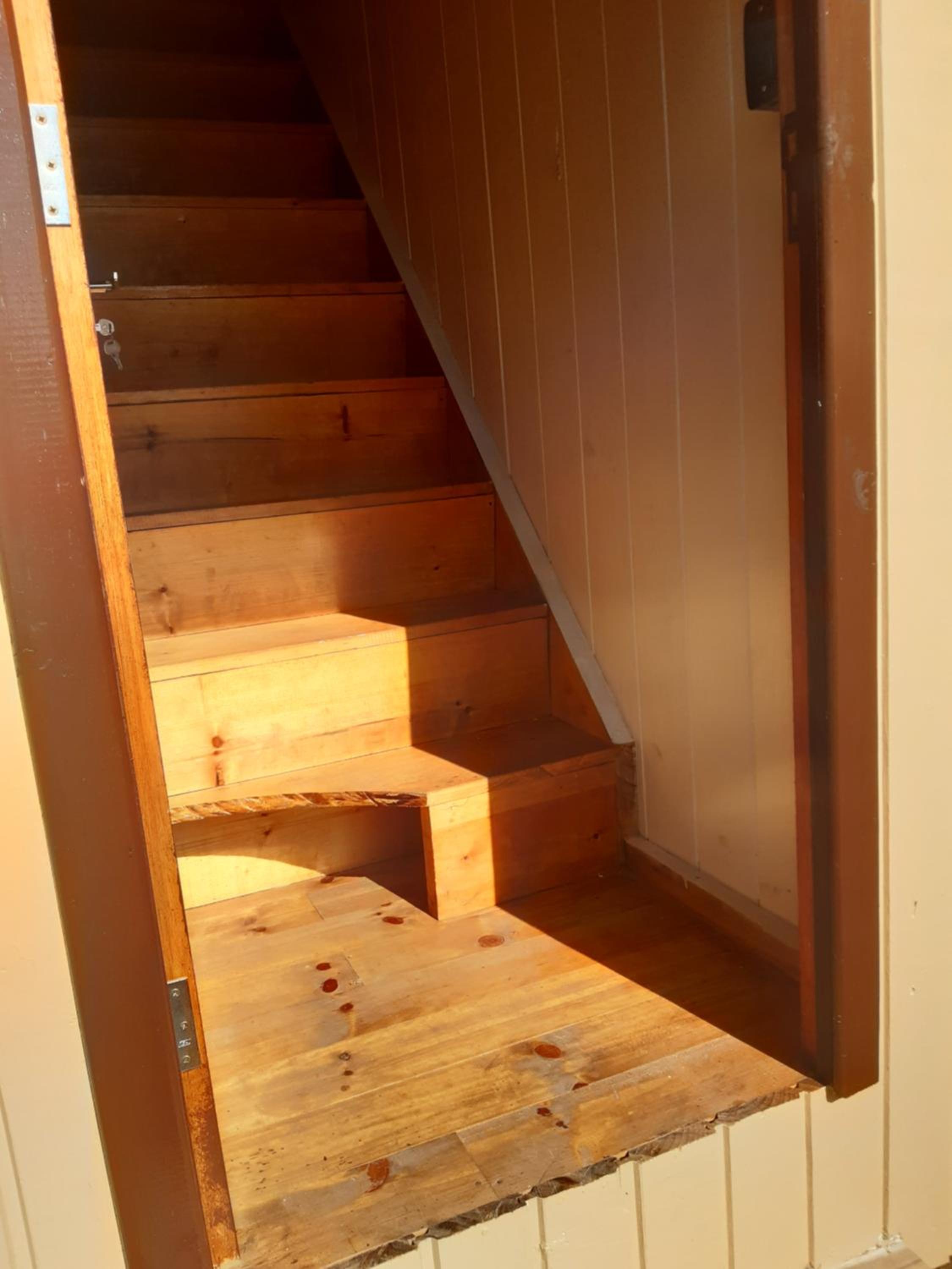 Photo 42