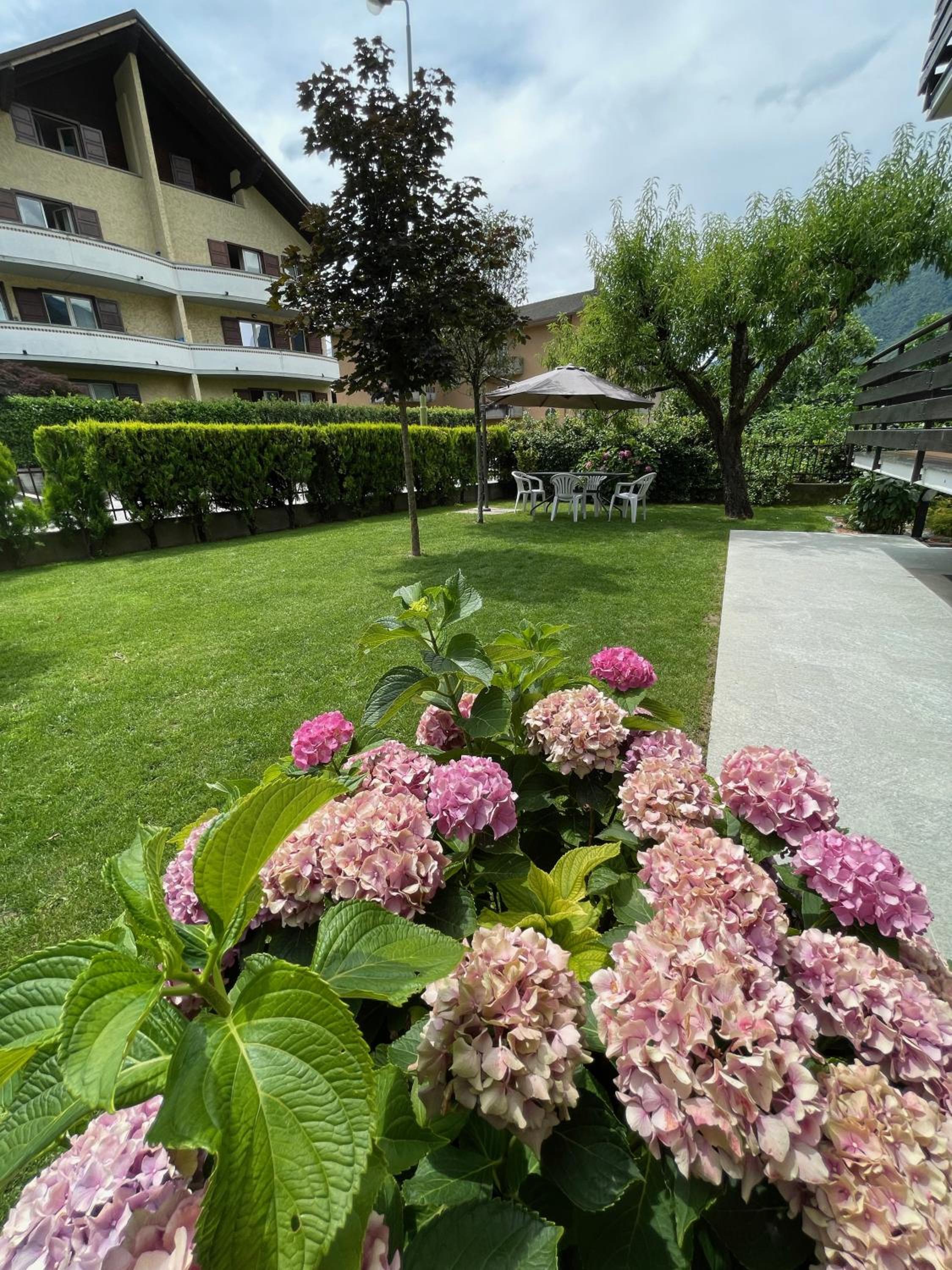 Casa Dolce Casa
