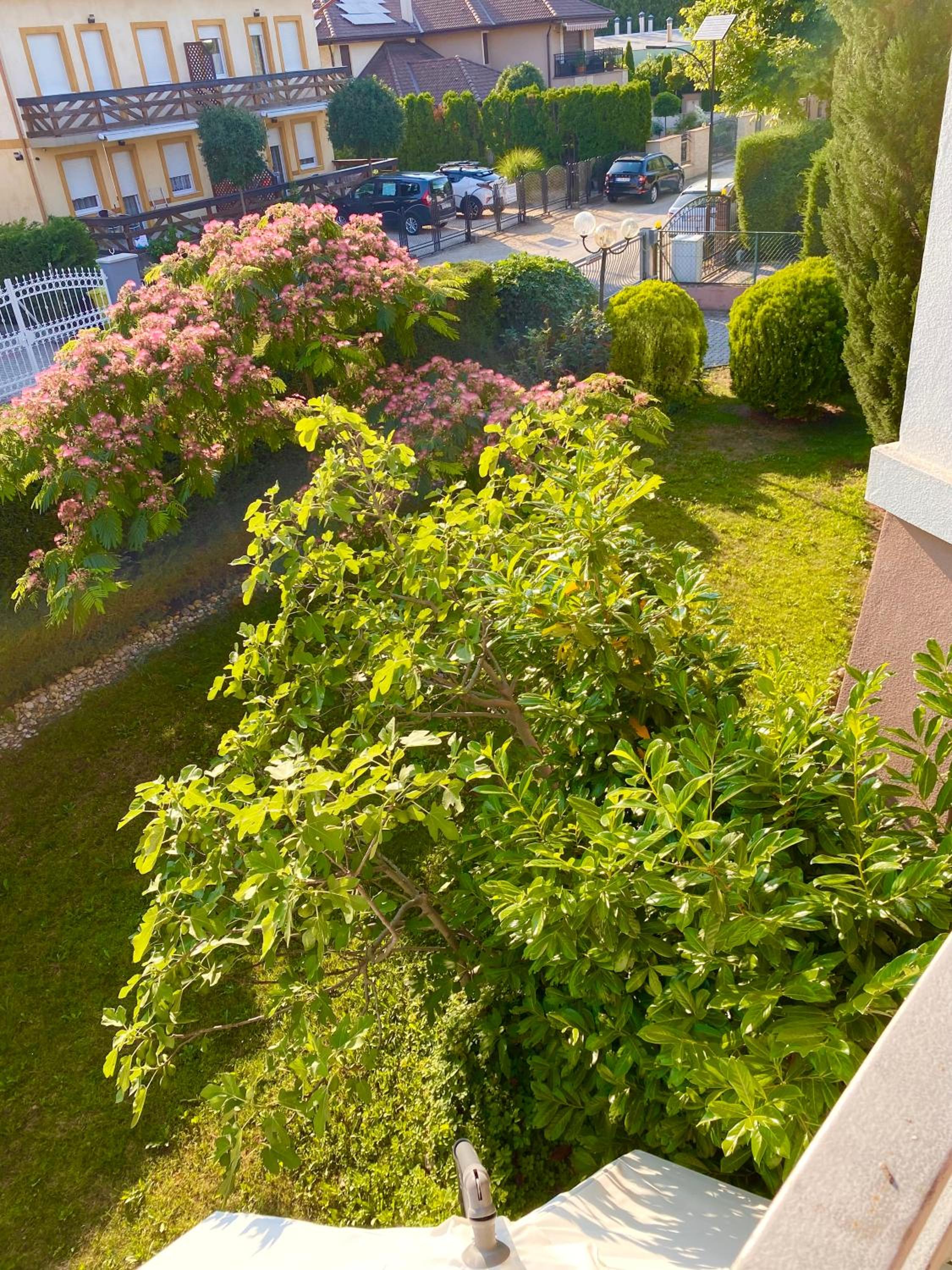 Selyemakácapartman view 4