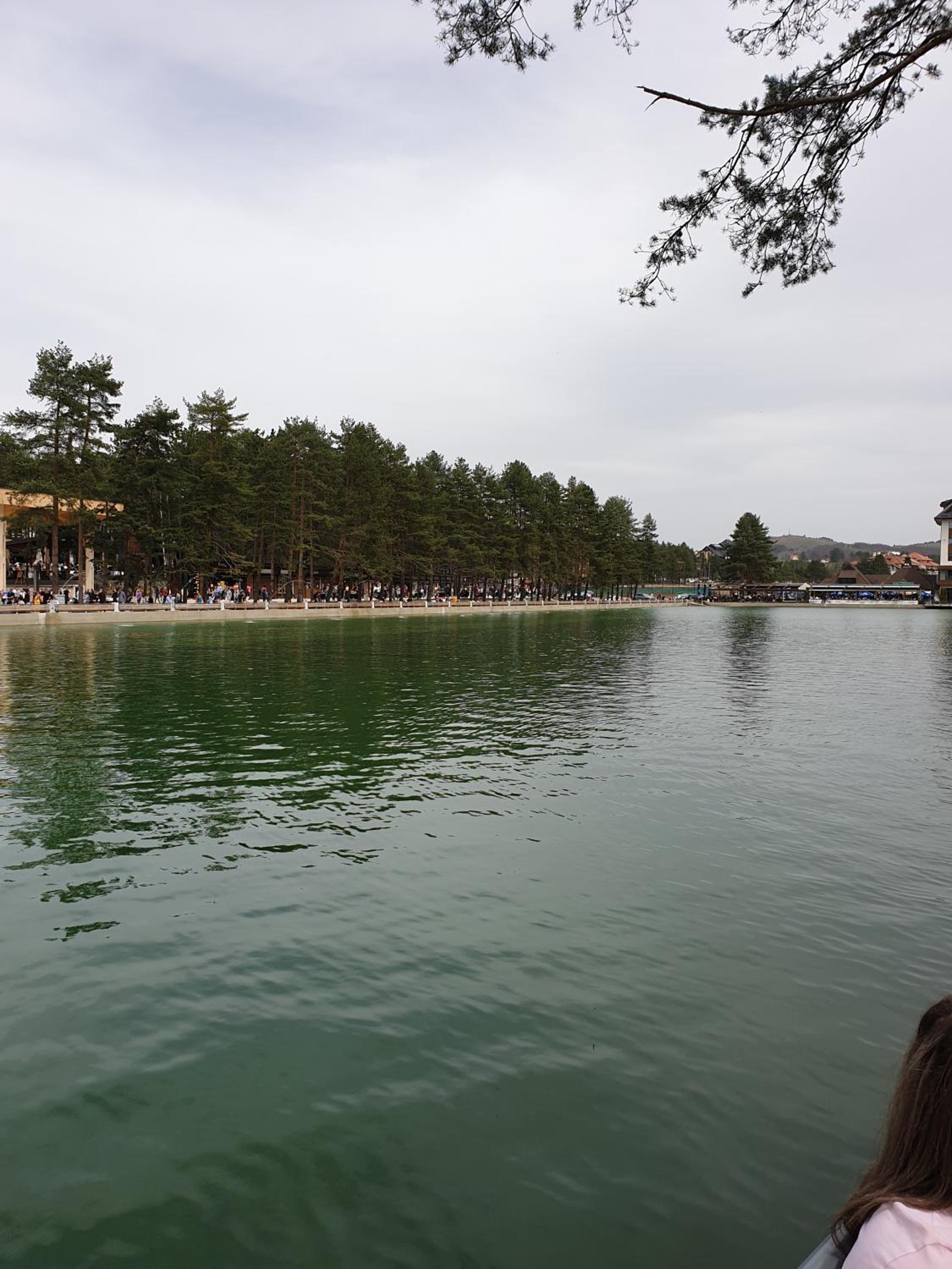 Photo 41