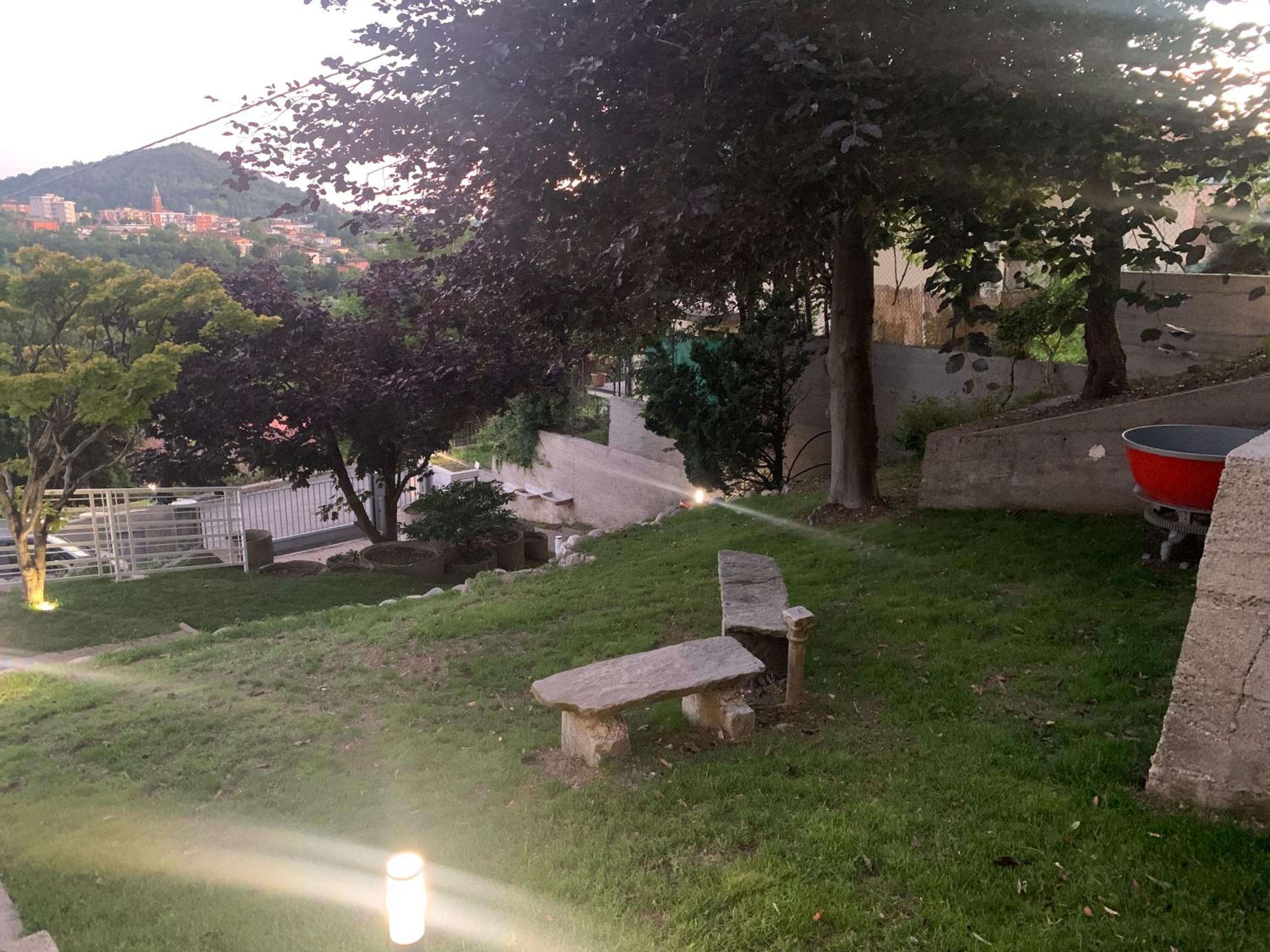 Photo 31