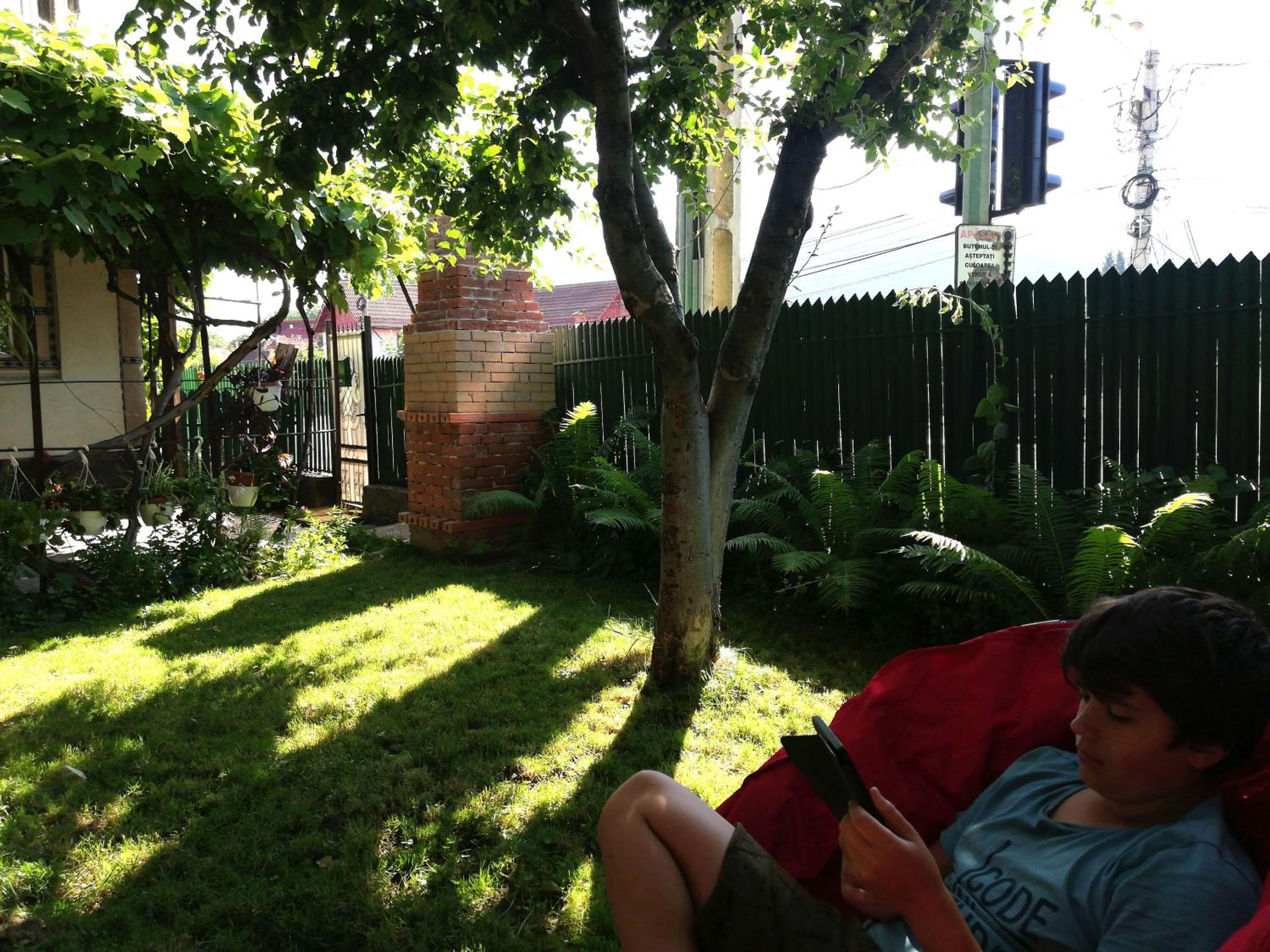 Photo 14