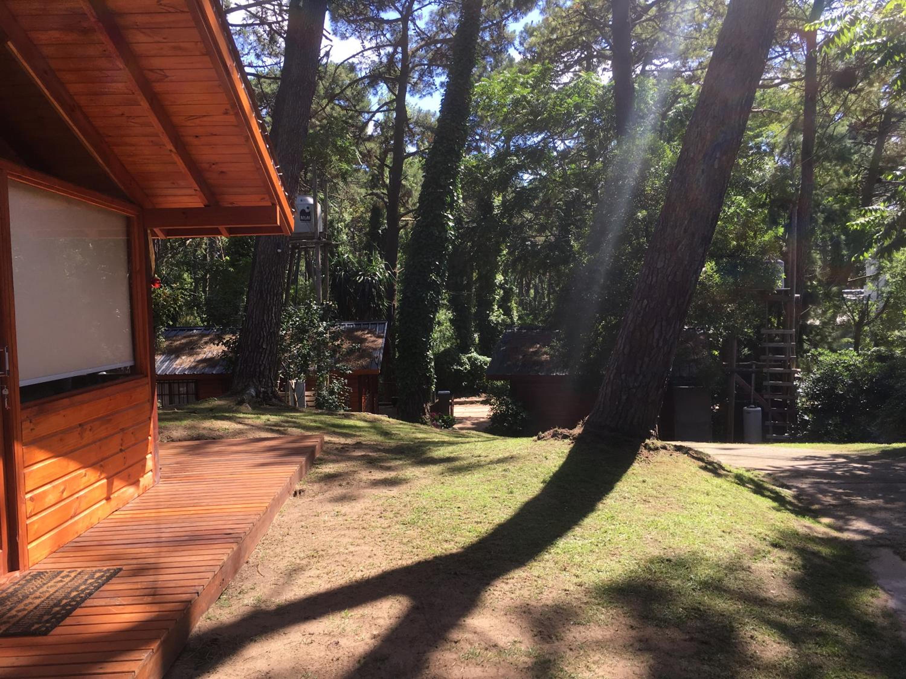 Cabañas Entre Pinos