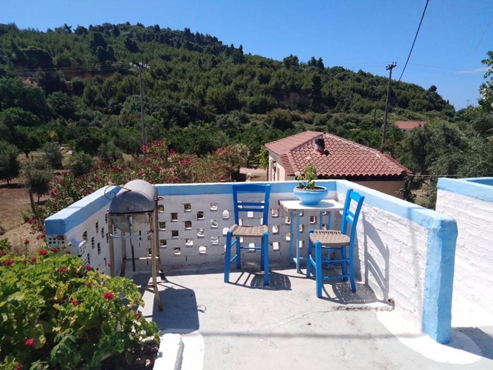 Photo 19