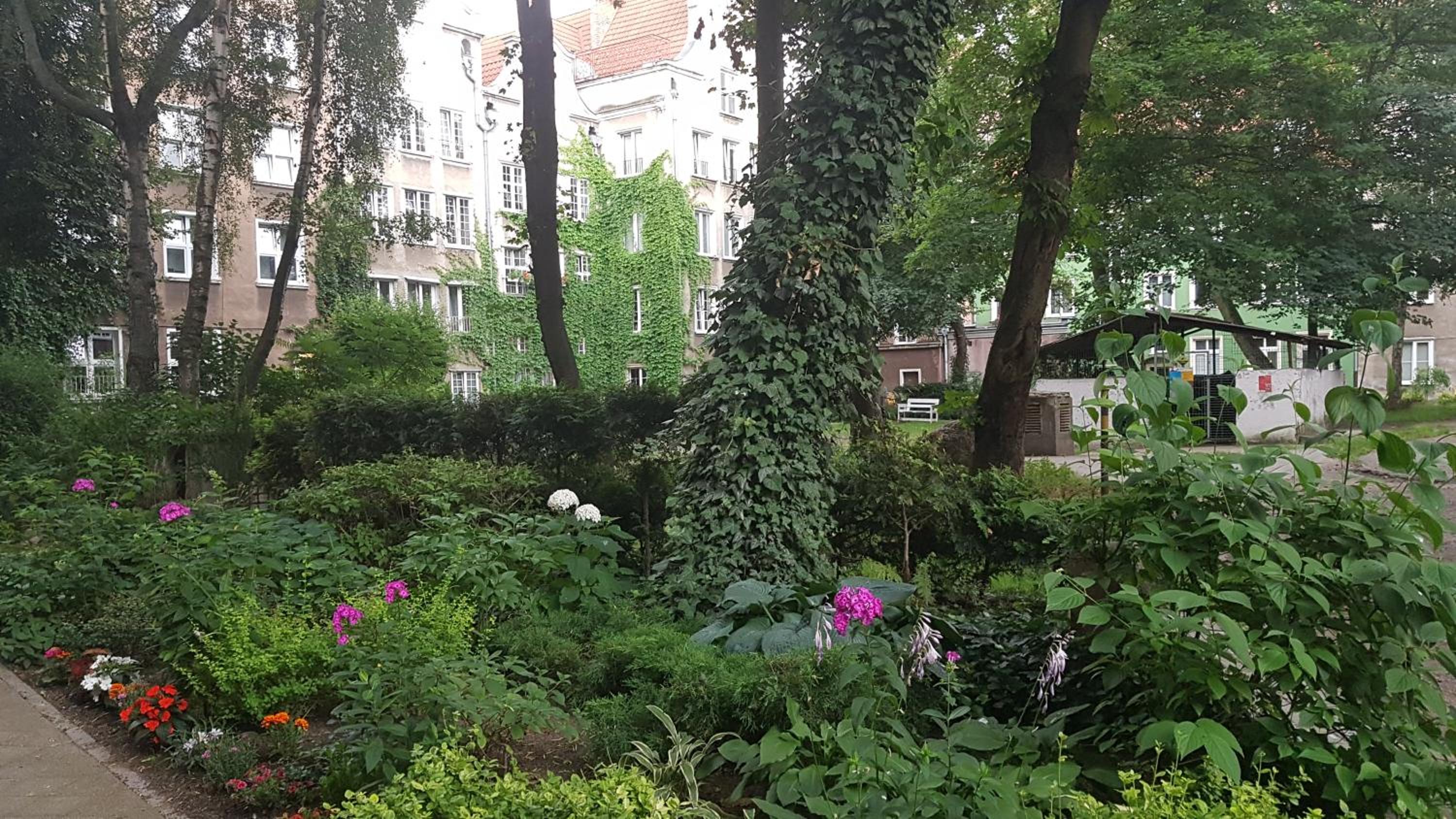 Photo 15