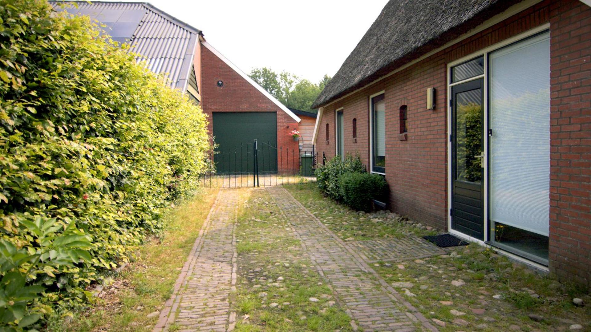 Photo 6