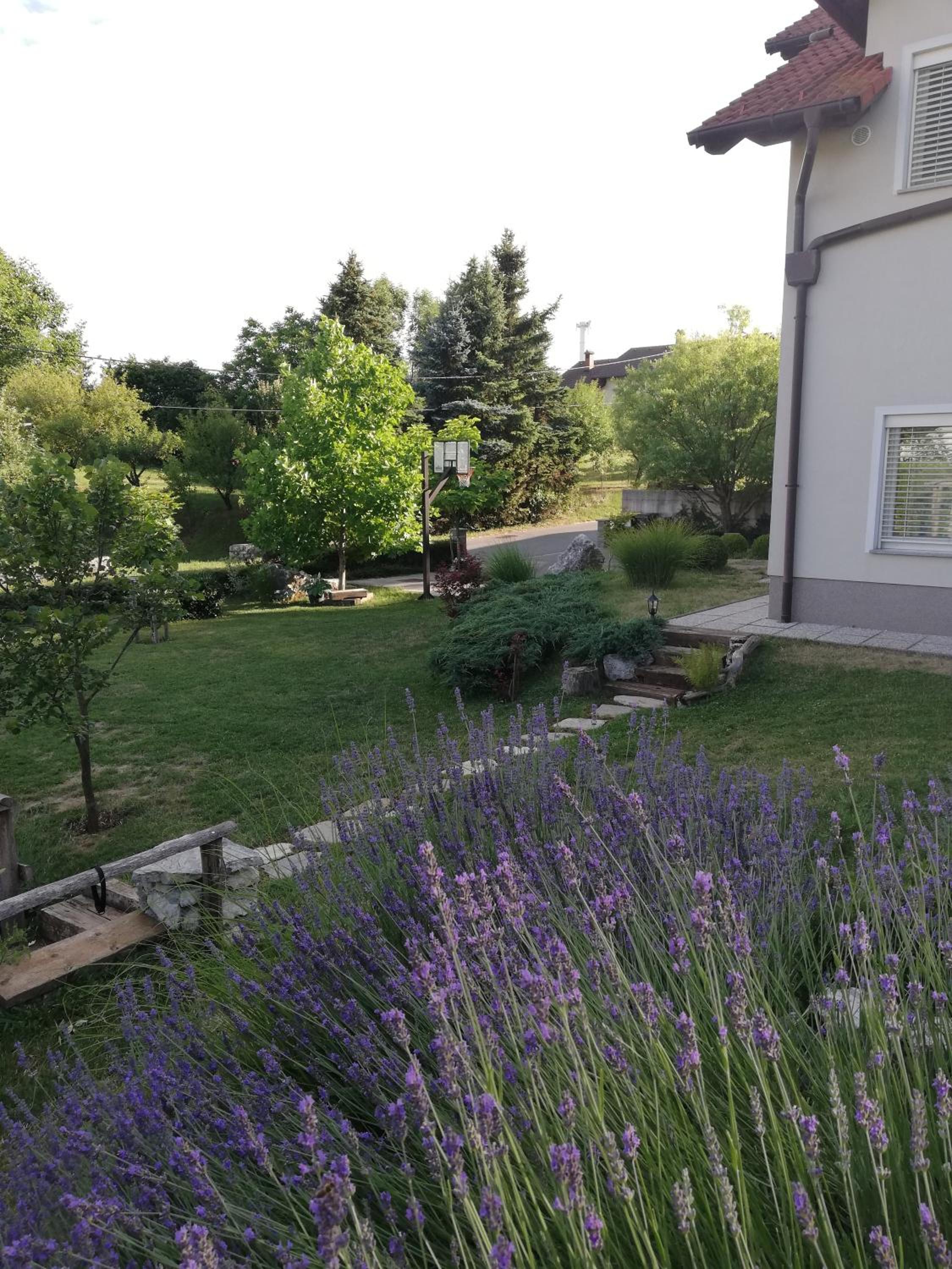 Photo 43