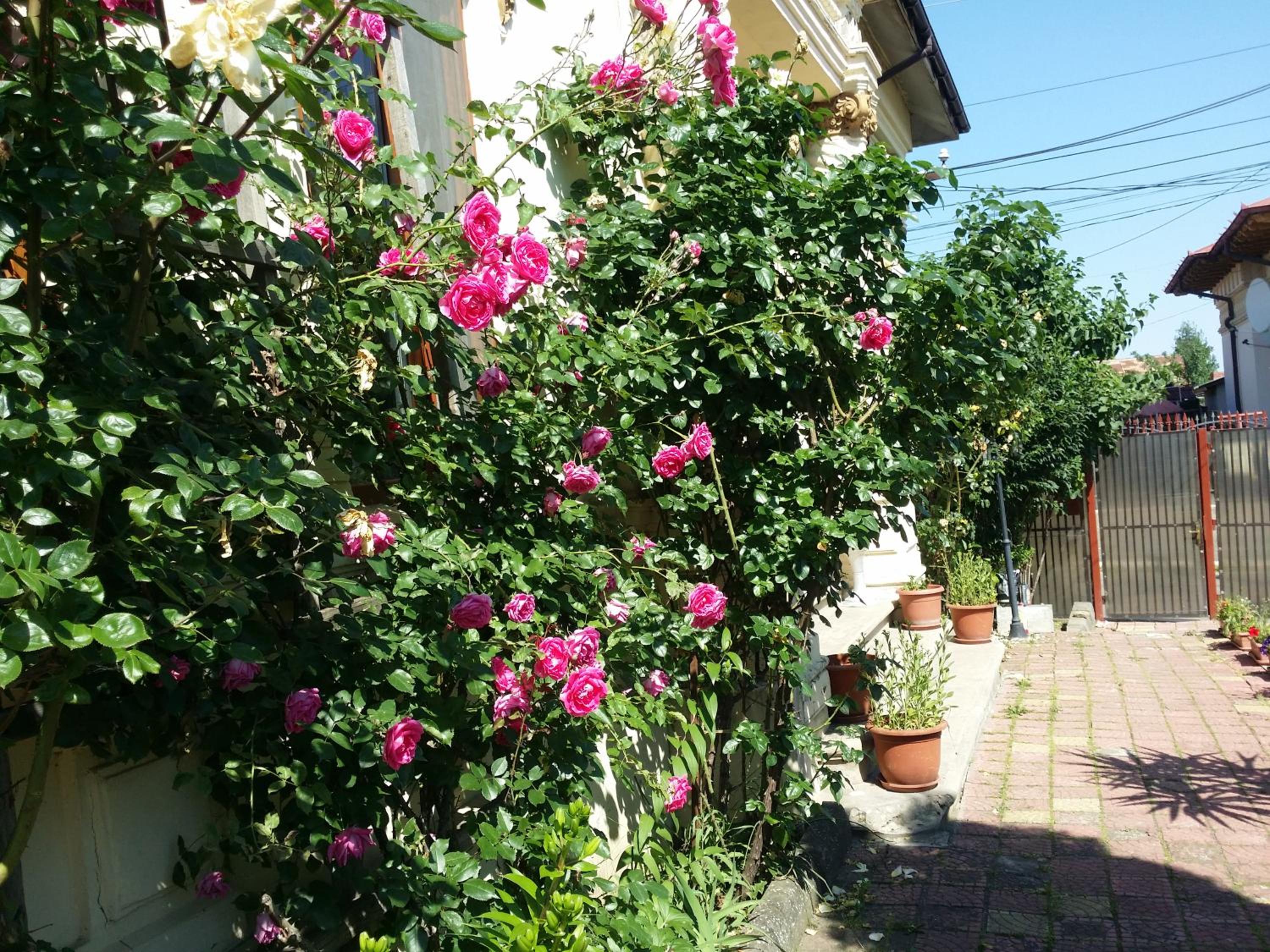 Photo 48