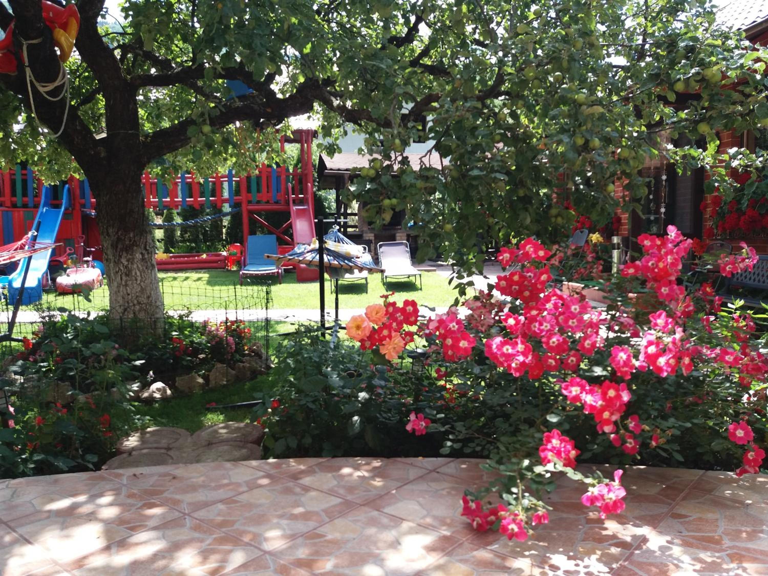 Photo 41