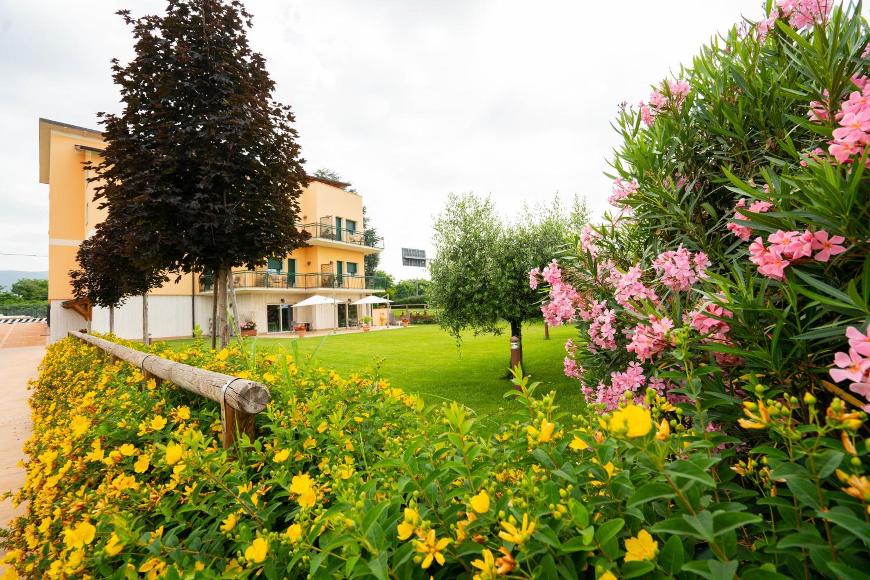 Agriturismo Corte Ambrosi view 2