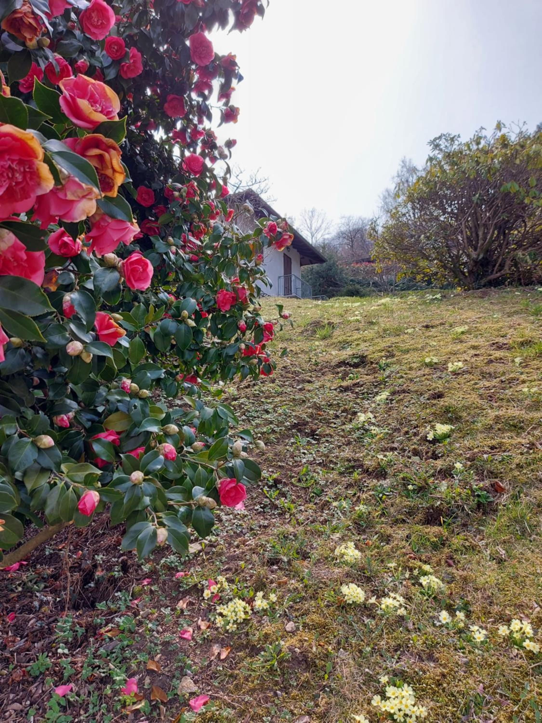 Photo 26