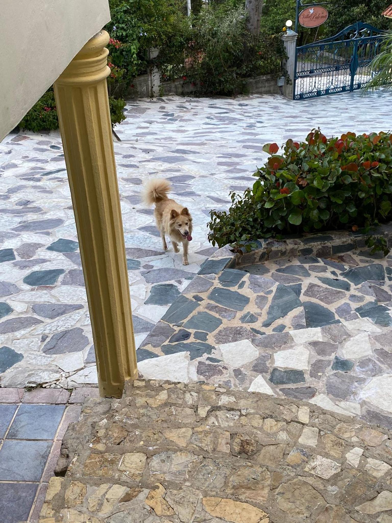 Photo 20